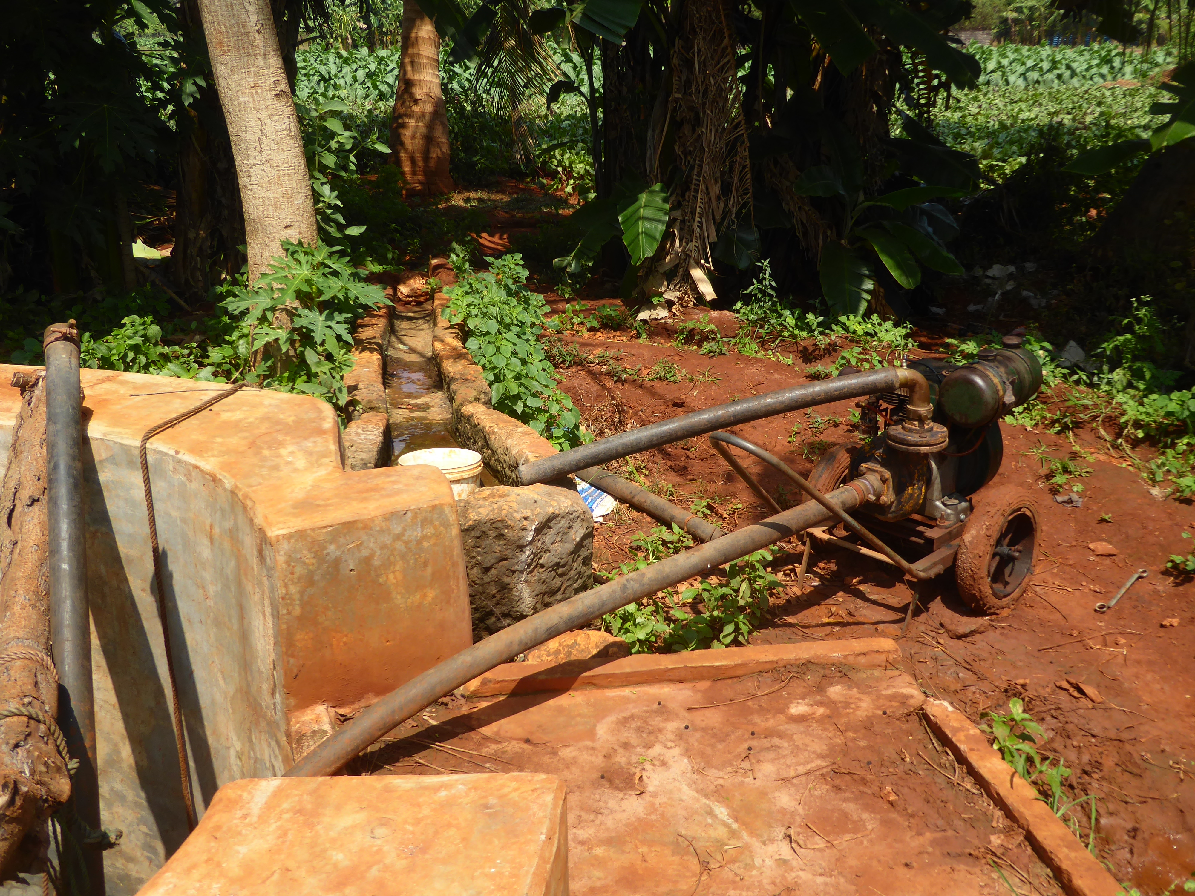 A little diesel pump.