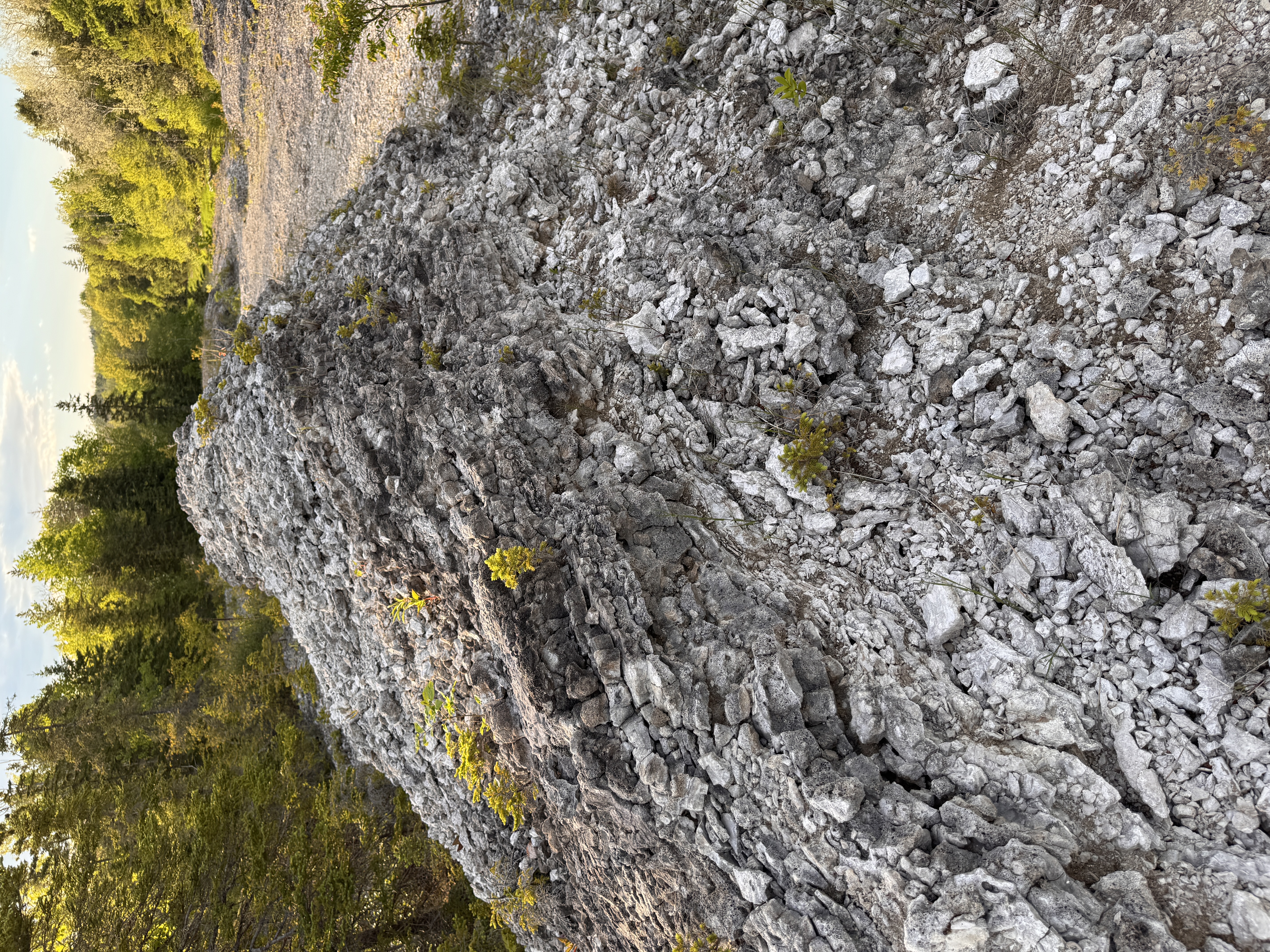 Does this look like a natural ridge to you?
