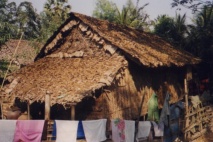 A roof of leaves; woven walls.