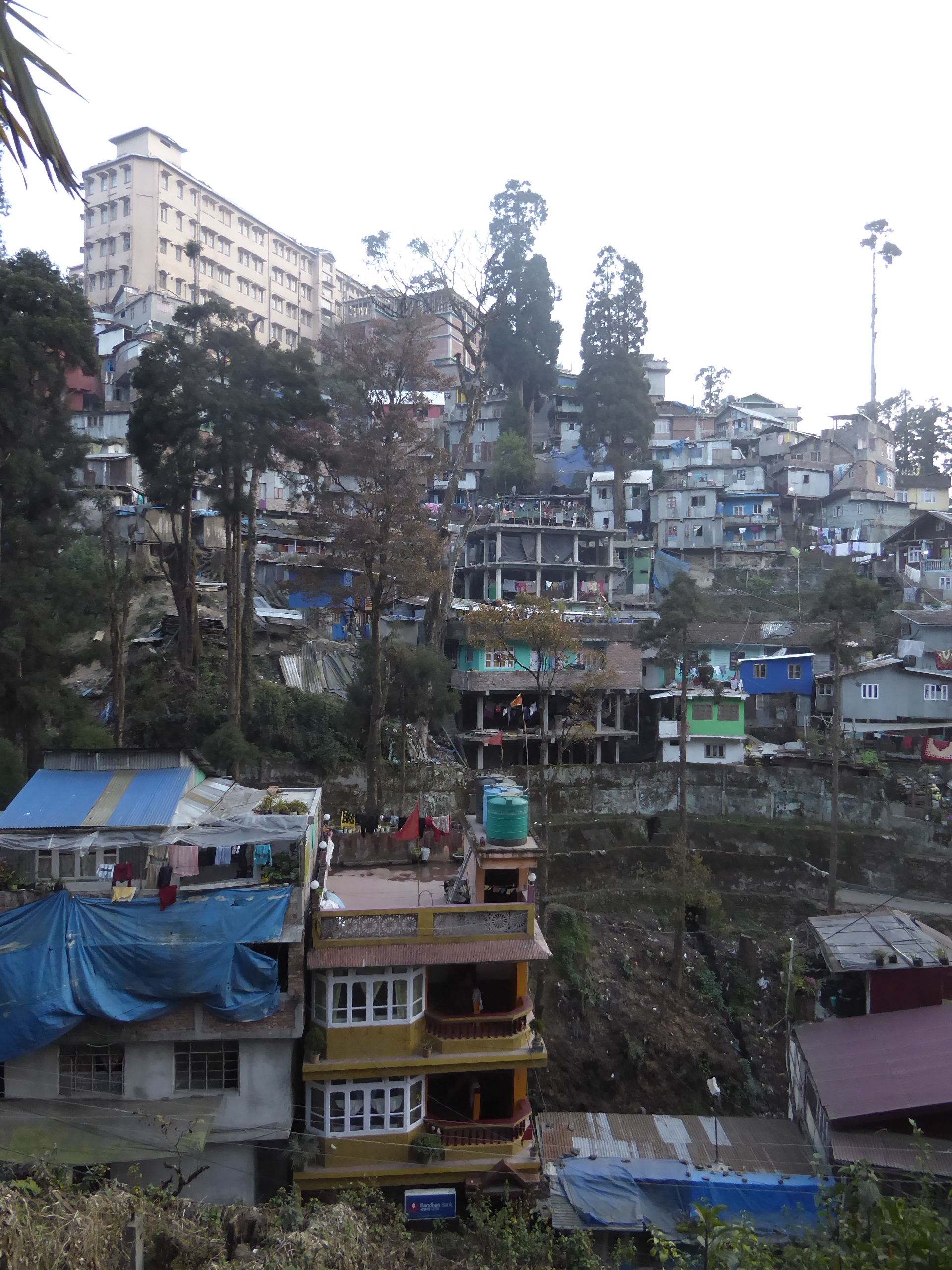 We've come around to the other side of the hospital. There's a ravine here that passes the town's botanical garden.