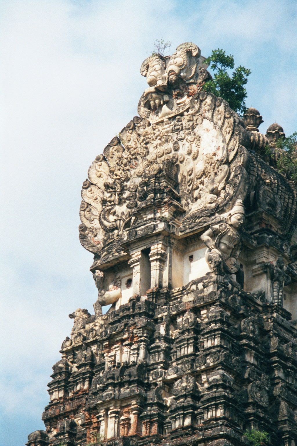 Zoomed view.