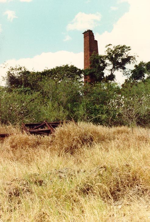These are the stacks of a ruined sugar mill near Guanica, where American troops landed during the Spanish-American War. Puerto Rican rum is