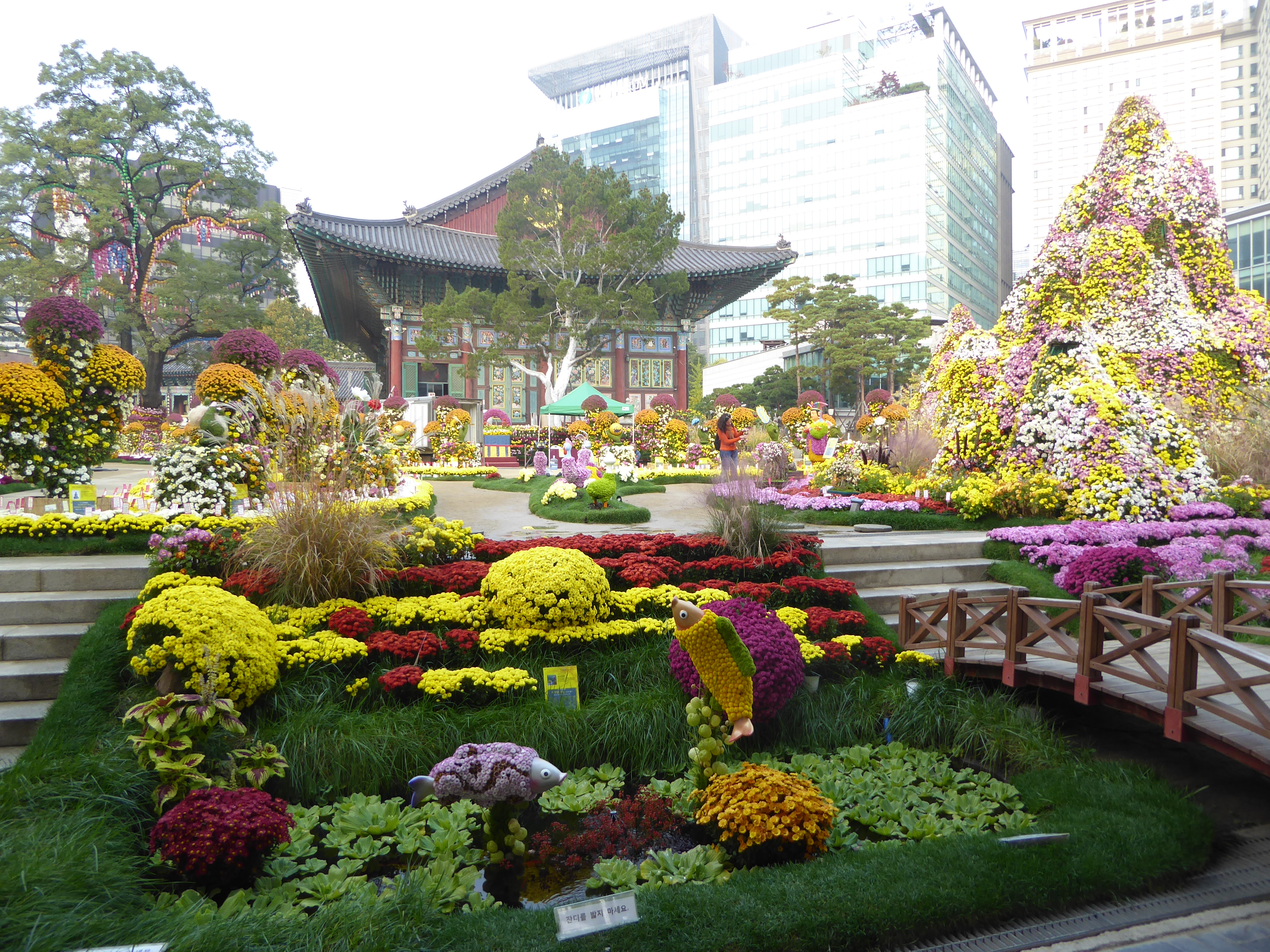What do you think the Buddhists who prayed here centuries ago would have made of the flowers?