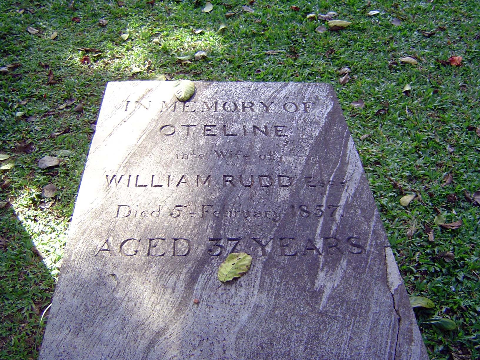 Oteline Rudd 1820-1857 came from a Dutch family that, unlike many others, didn't leave for Batavia when the British took over in Ceylon. Ins