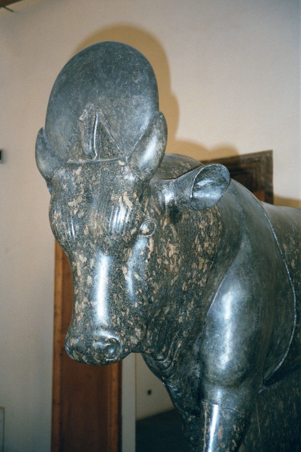 In the same museum there's this fine Apis, a bull represented in Egyptian religion with the disc of the sun between his horns. Apis is an ol