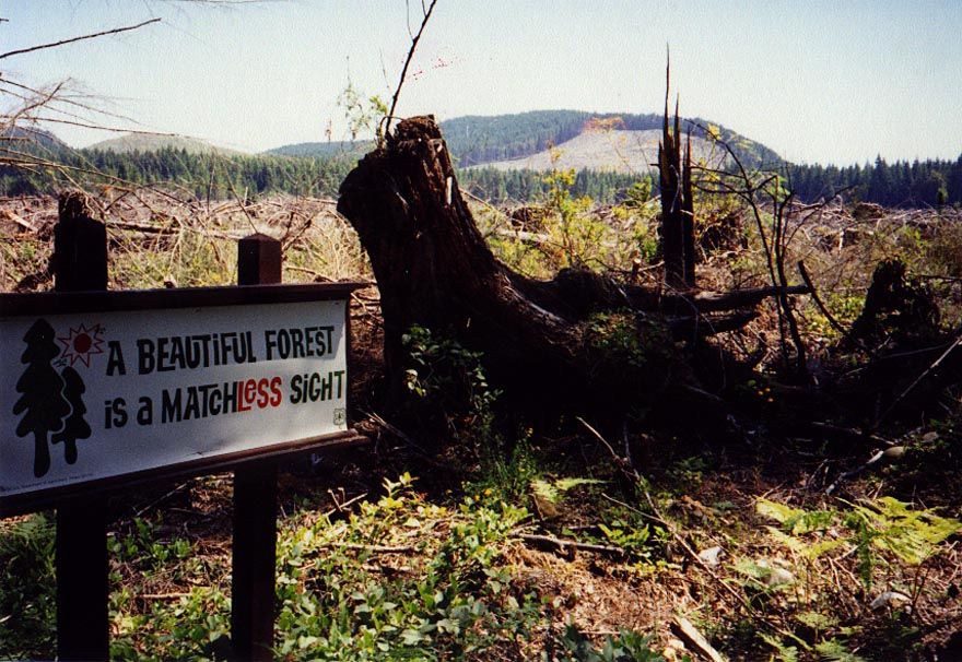 Unintended but high irony: east of Queets, on the west side of the Olympic Peninsula.