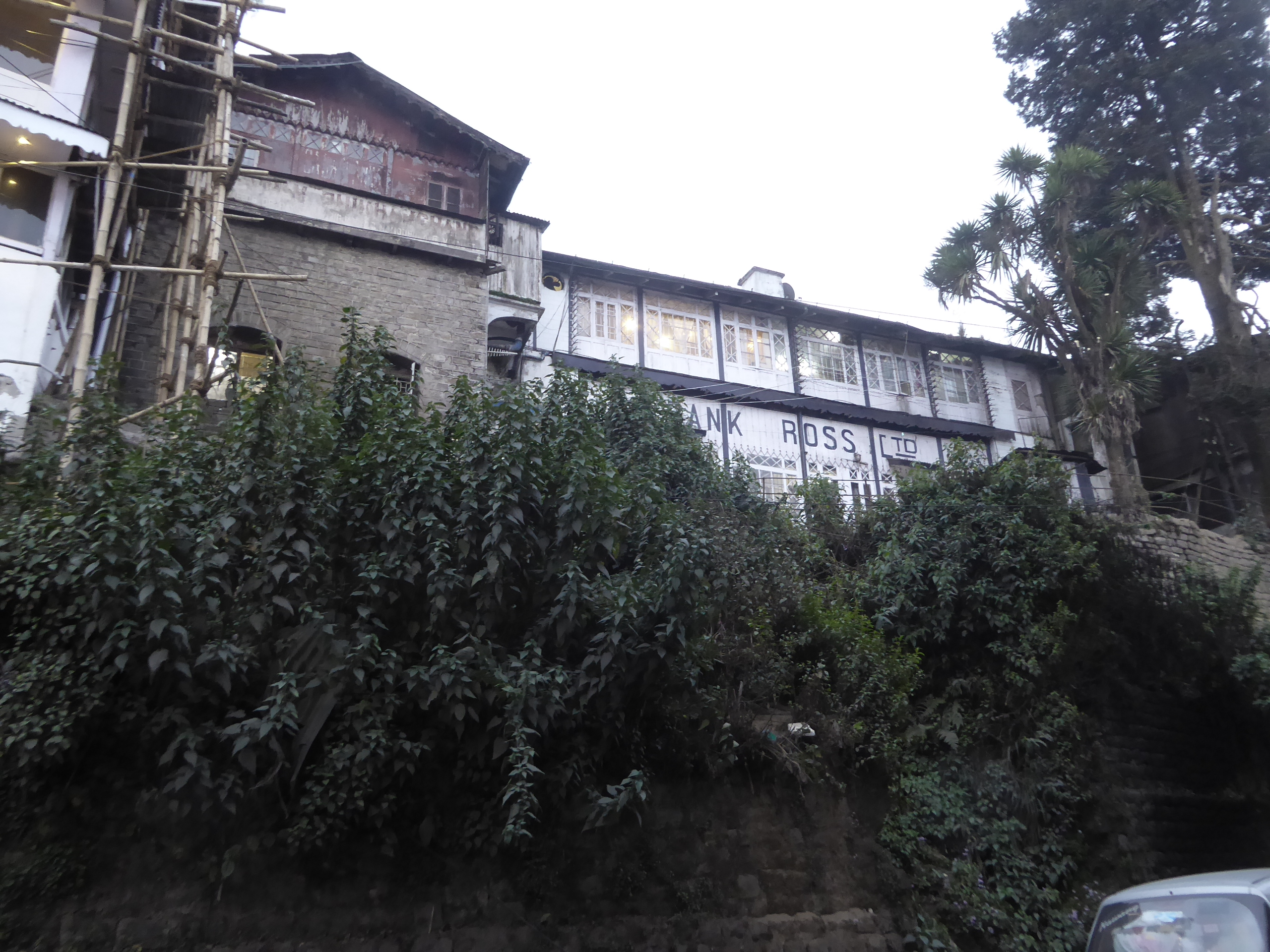 You can see at least two rows of the retaining walls that keep the pharmacy from sliding to oblivion.