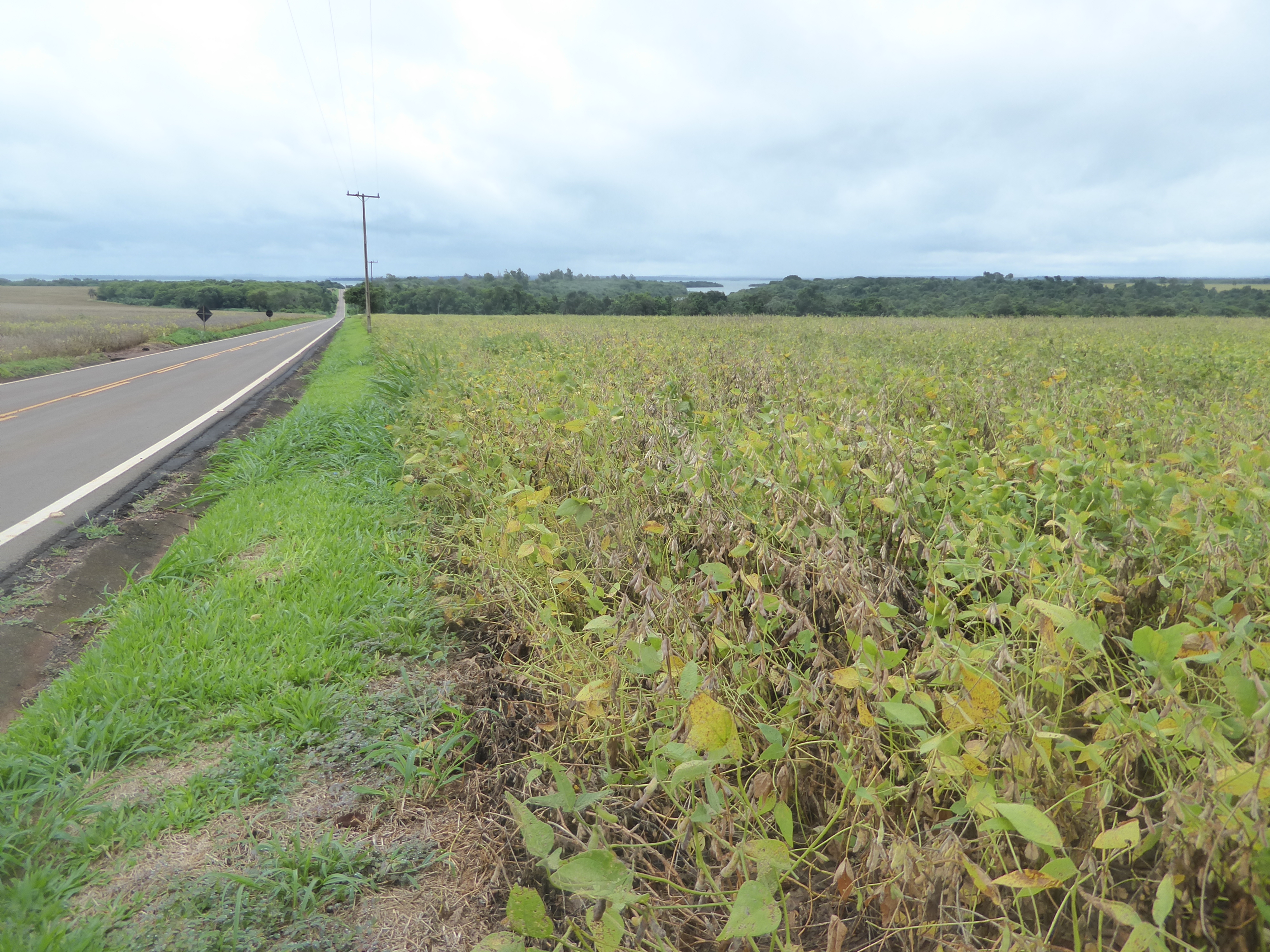 We're on PR-874, a spur road dead-ending at the reservoir up ahead and formed by the great Itaipu Dam, which lucky you! we're not going to v