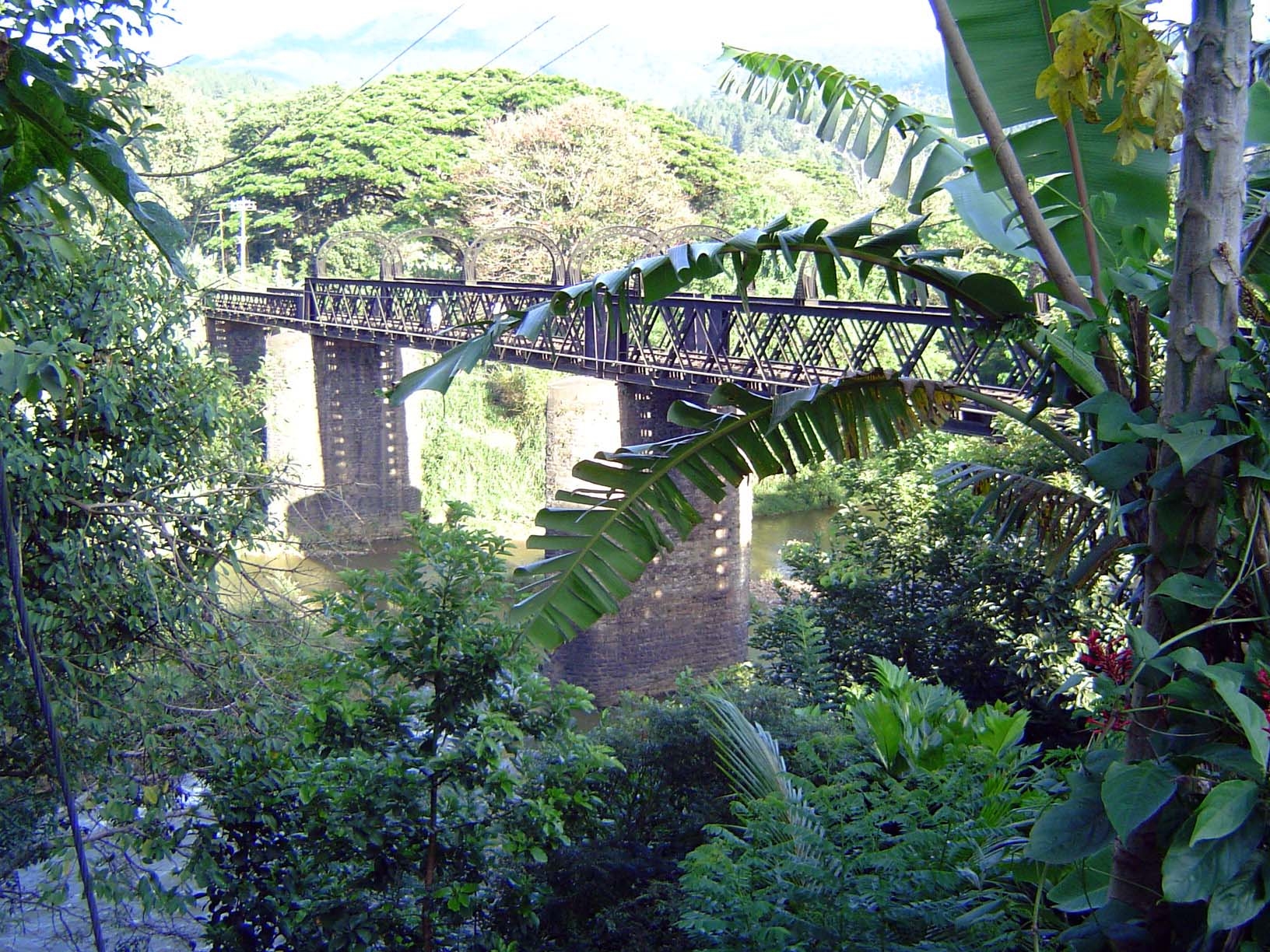 The garden sits in a horseshoe curve of the Mahaweli Ganga; here, just upstream, is the railway bridge across the river.