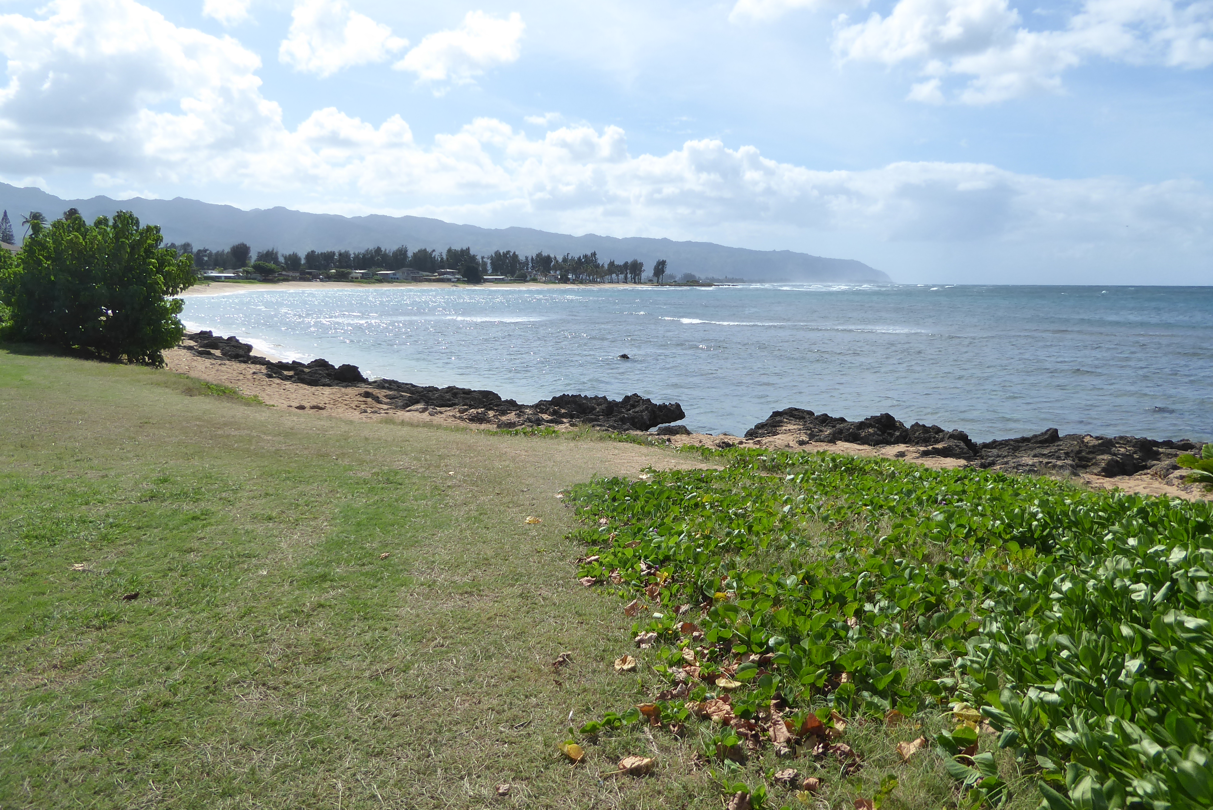 We've come a few miles farther east along the north shore to Kaiaka Bay Beach Park. We're close to the site of Dillingham's old hotel, which