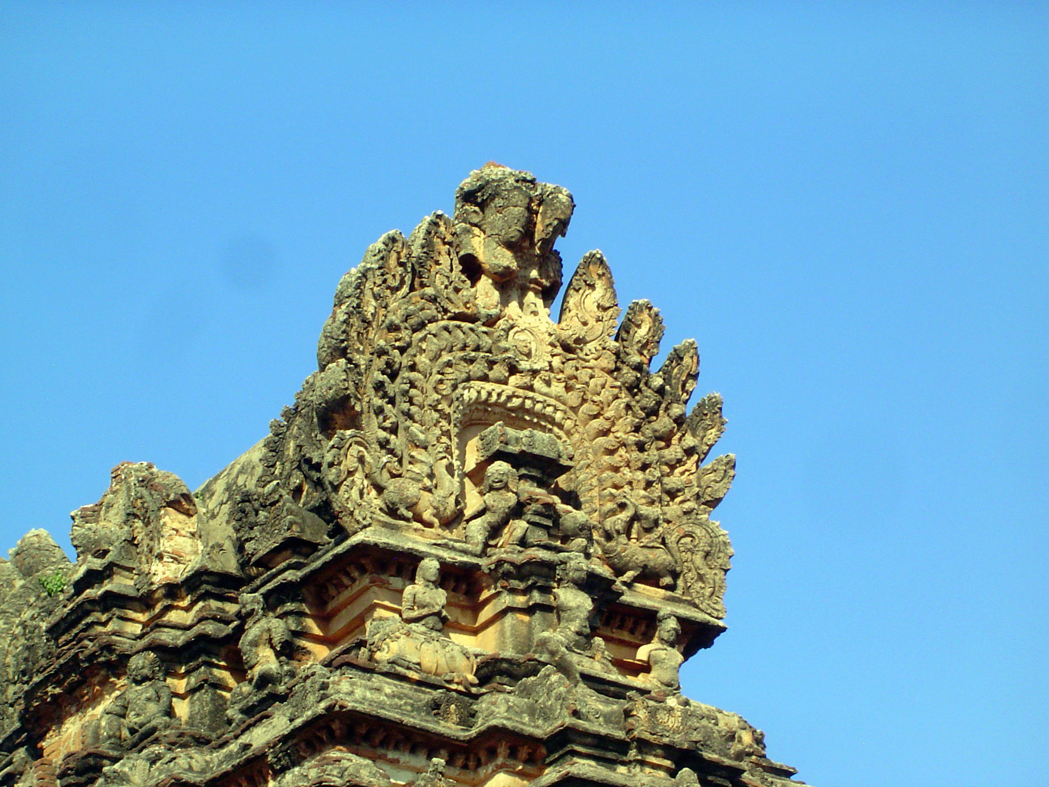 A close-up.