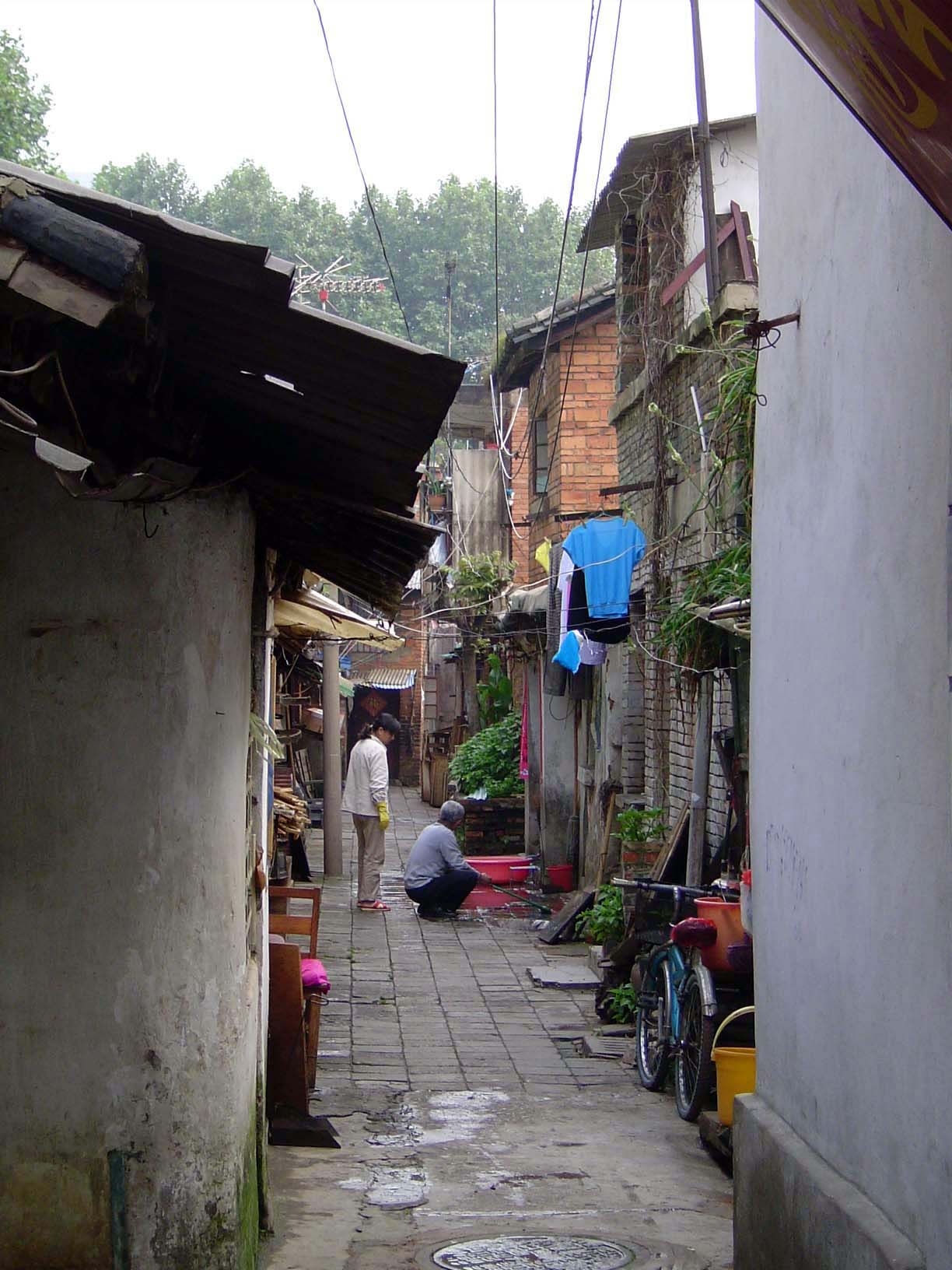 The building on the left is part of the famous bird market.