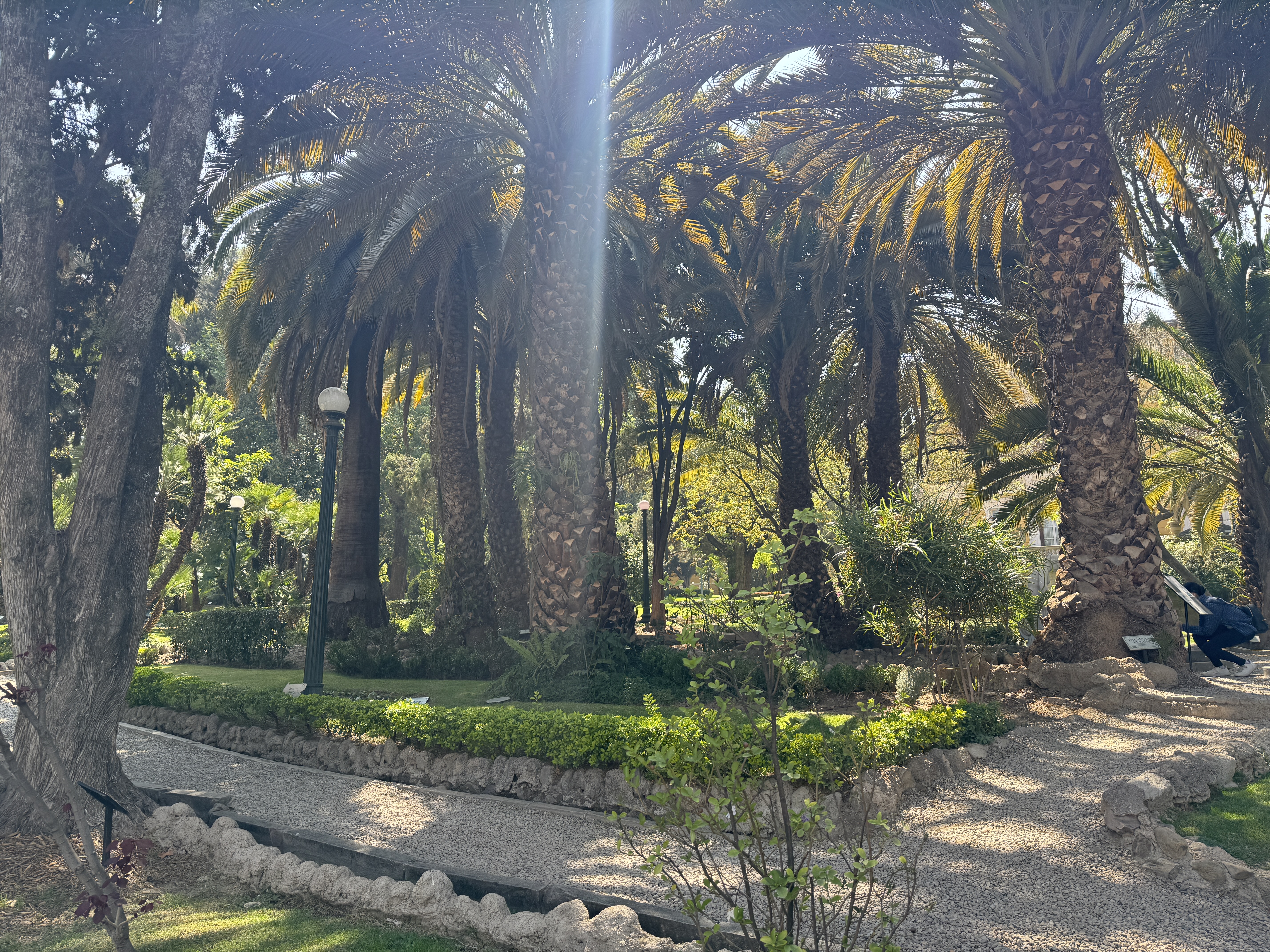 The best thing about his house is the front yard.