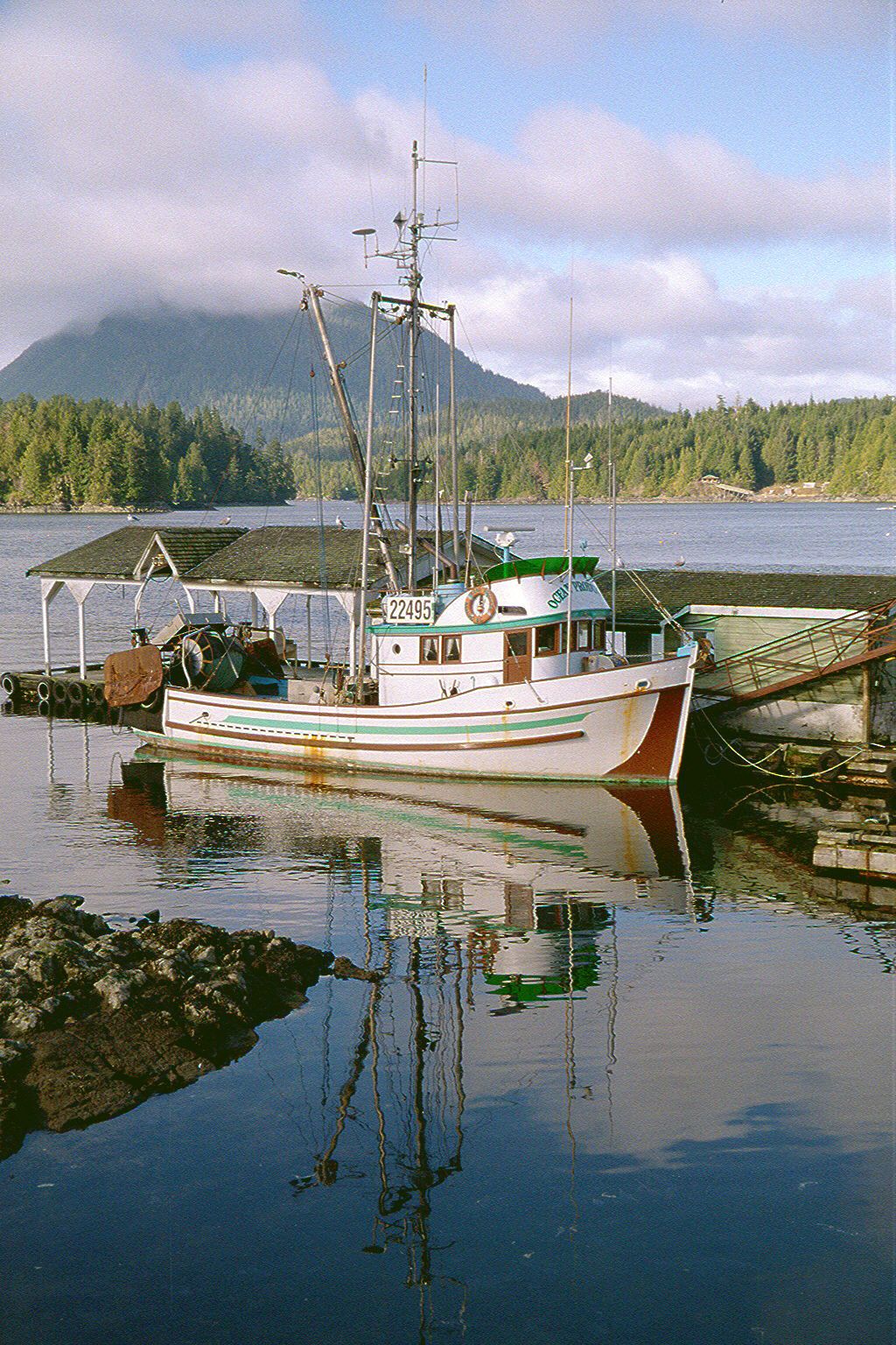 Tofino has long been a fishing port. Salmon, if you have to ask.