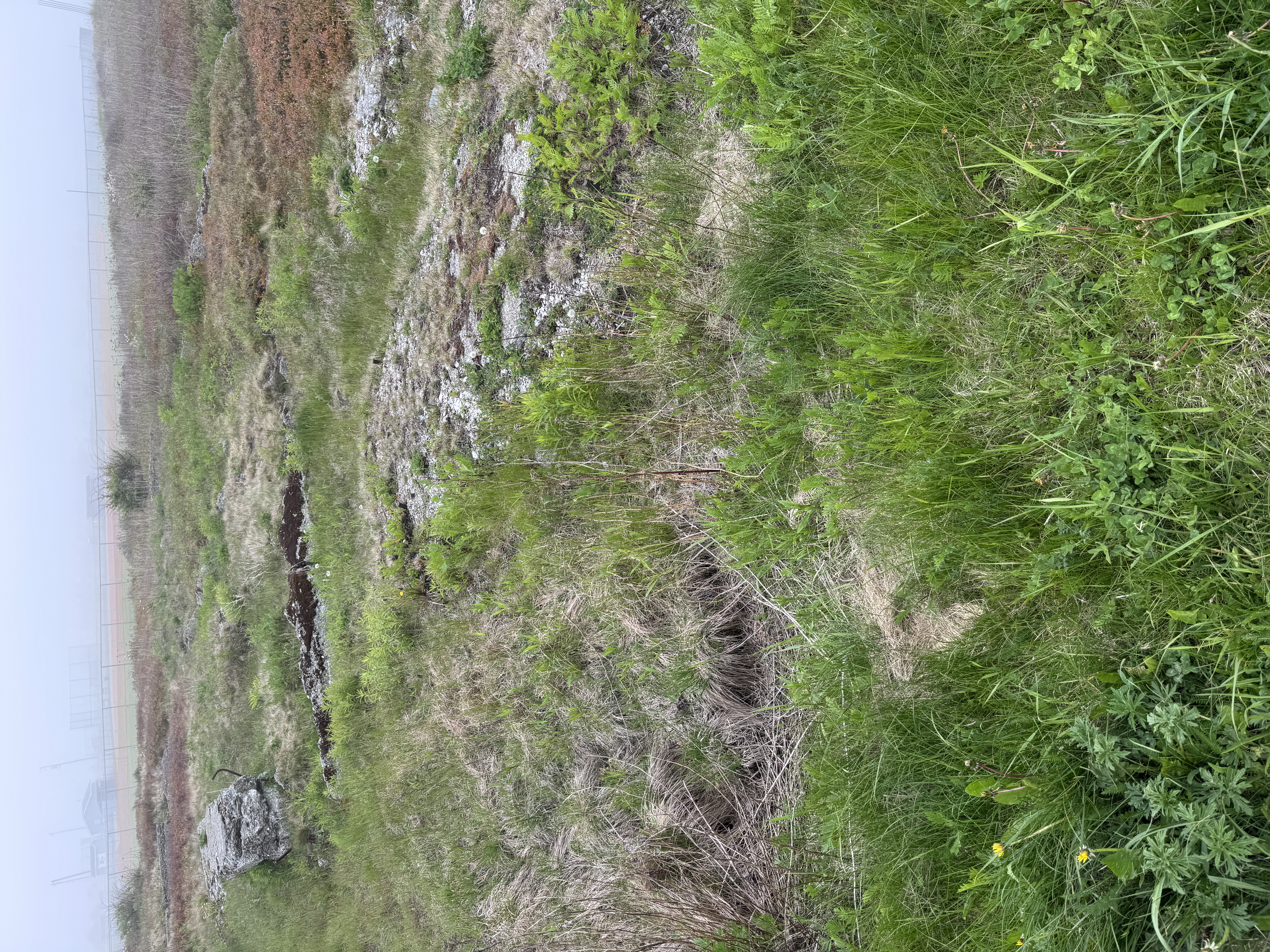 The towers are gone, but you can see foundations.