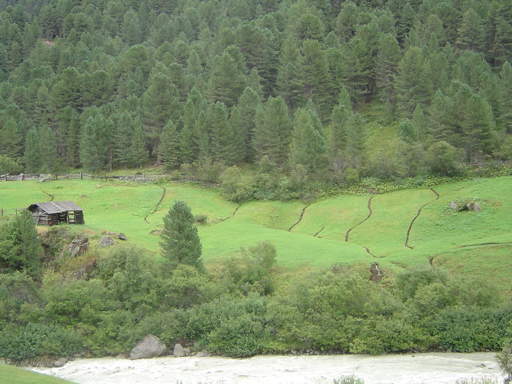 Farms like these aren't conducive to machinery.
