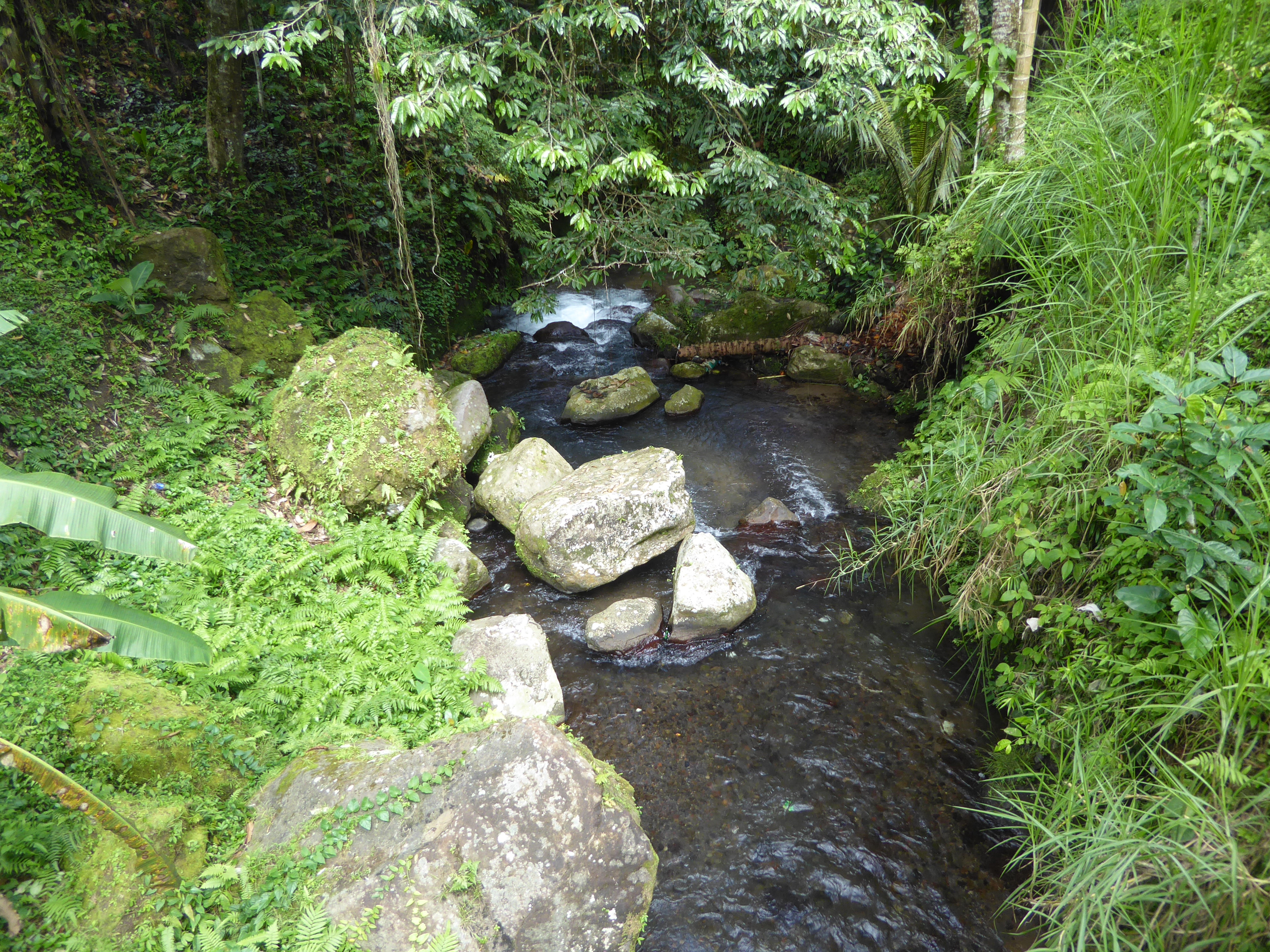 Let's go back to the Tirtha Empul's water, here flowing merrily away to be gradually diverted into irrigation ditches. The villagers who mai