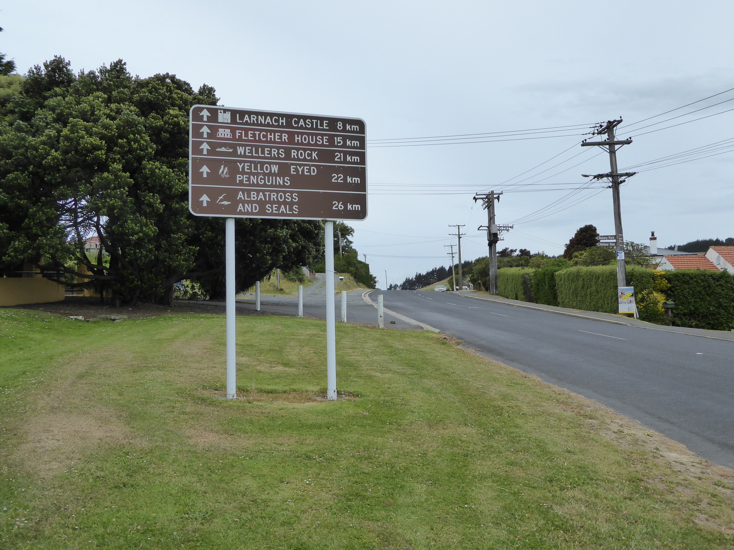 Meanwhile, there's always the Otago Peninsula, the darling of the Otago Peninsula Trust, established in 1967.