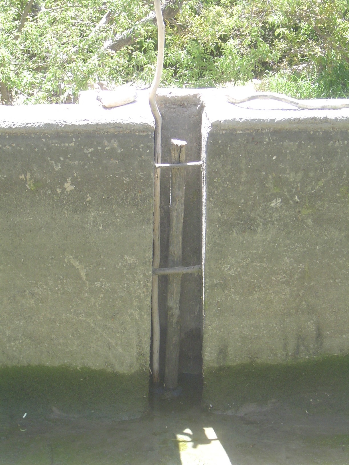 A plugged pond outlet.
