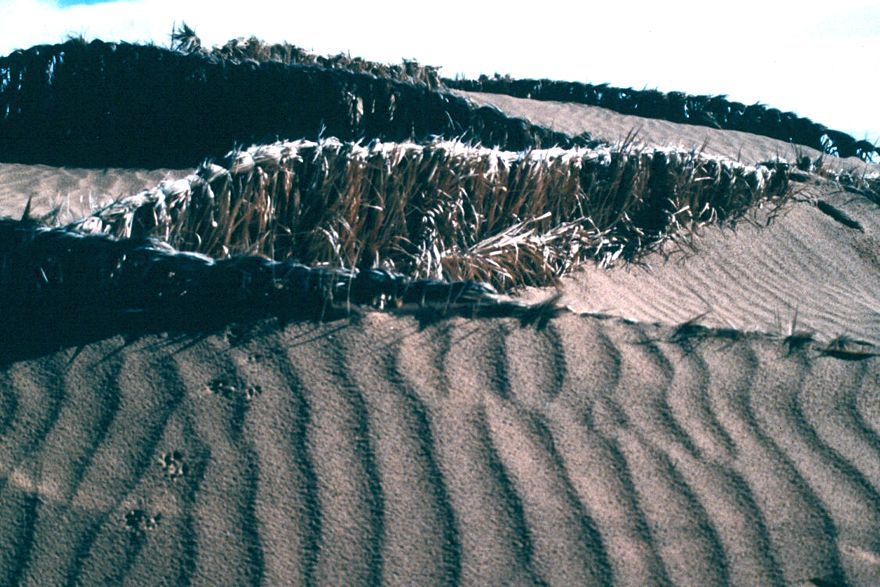These quadrillage, to give the system its French name, is a sand catcher. It works for a while but is finally overwhelmed.