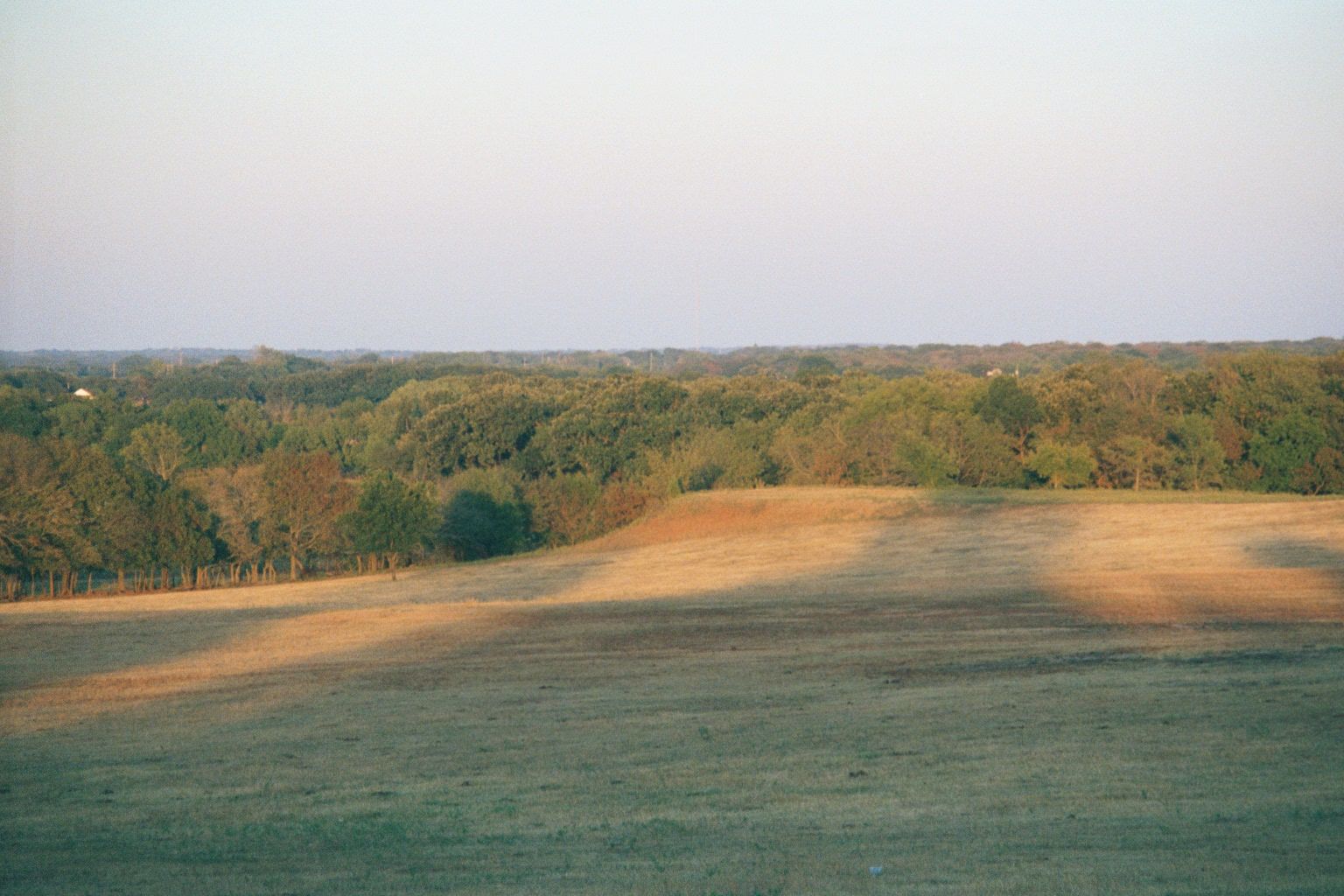 Those settlers found themselves on or near an ecotone, with grasslands to the west and oak forest—the Crosstimbers—to the east. Both were ho