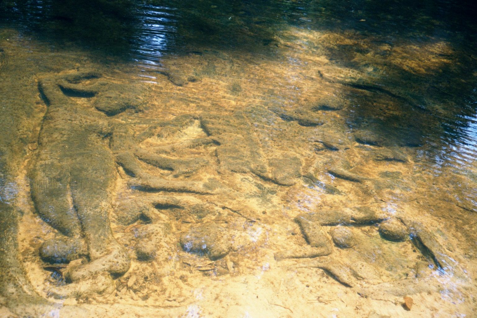 And here's another Vishnu, on the left and with the usual emsemble: the water was flowing from right to left, and though it was possible to
