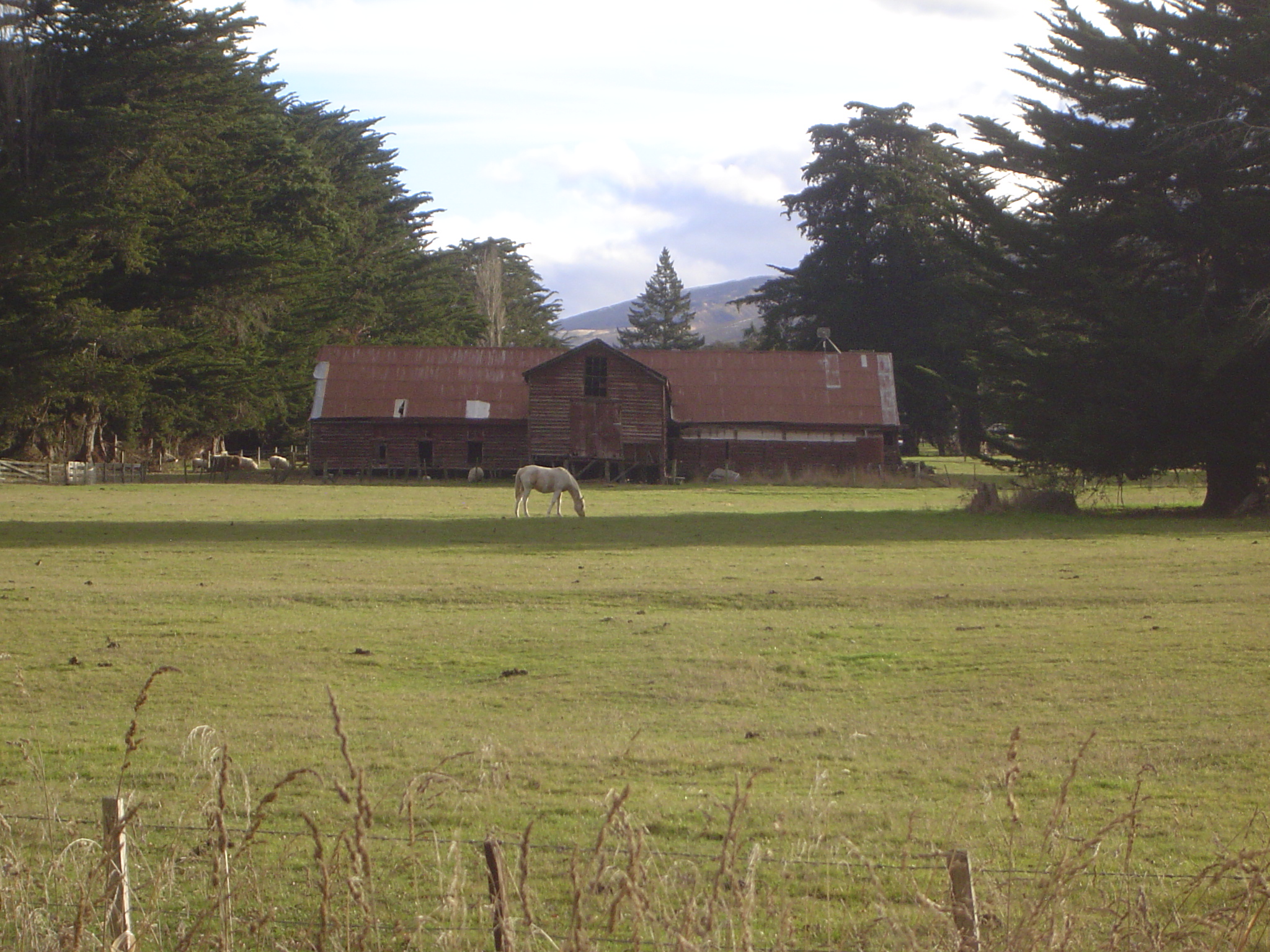 There are very few barns. Call it a little mystery.