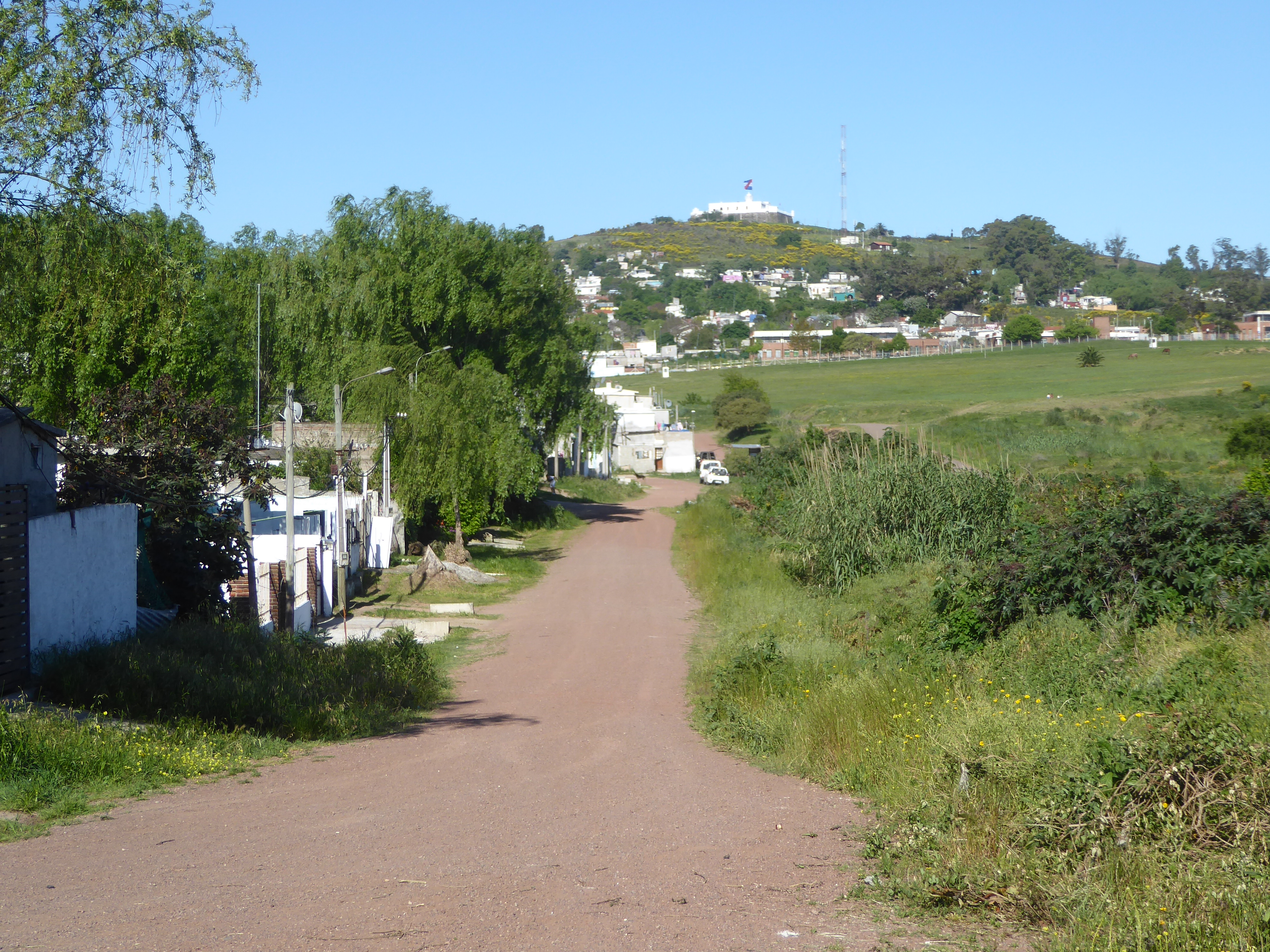 Here's the hill a few miles west of town and from which Montevideo gets its name. The summit is only about 400 feet above sea level, but, as
