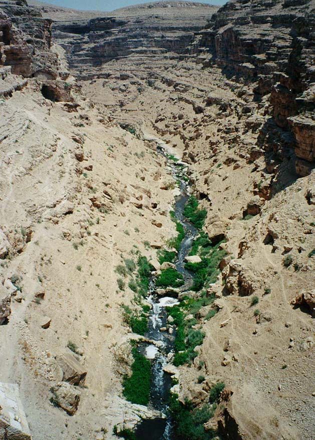 The Kidron flows east from Jerusalem and soon descends into a deep canyon known as Wadi Nar, "the valley of fire." The greenery is misleadin
