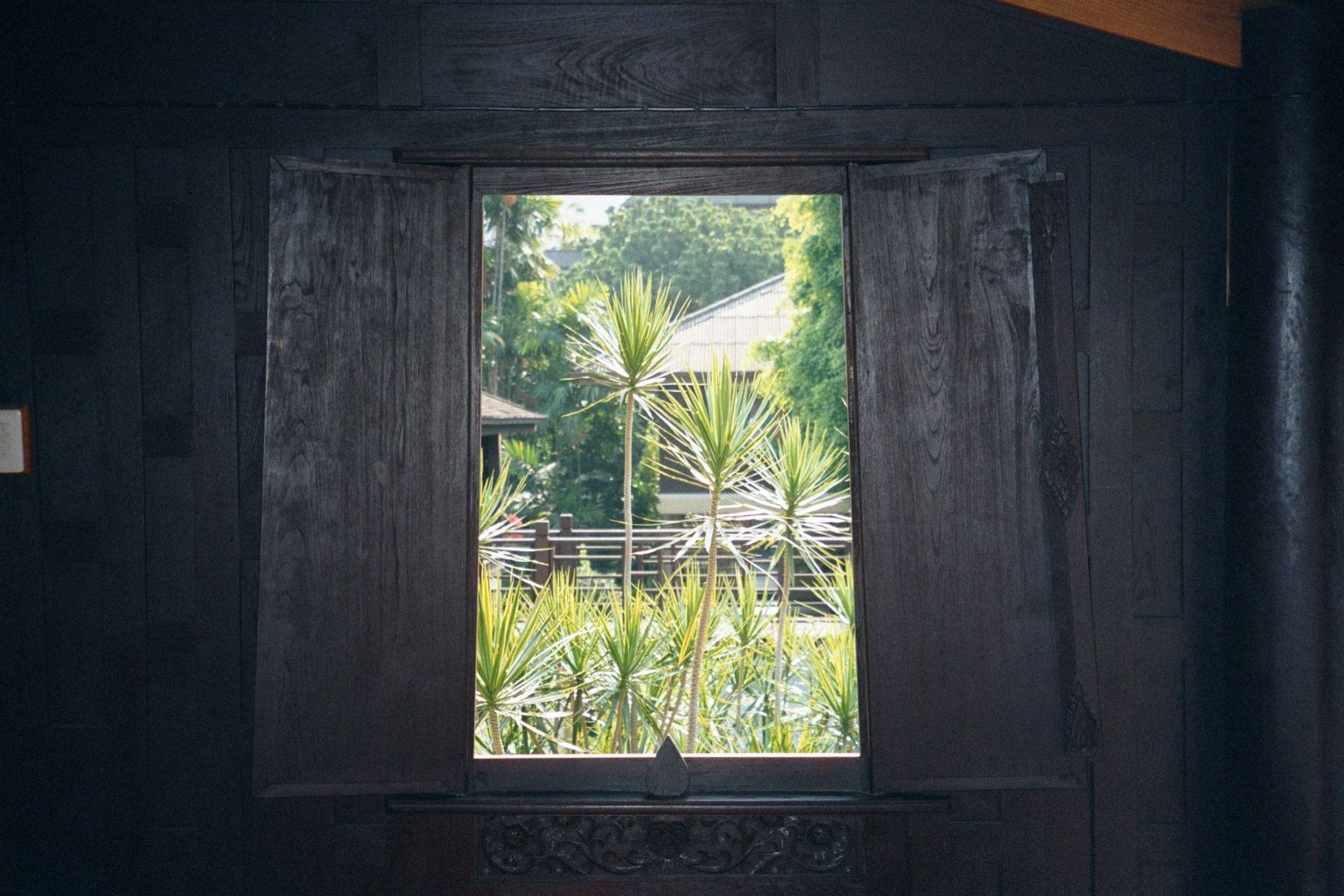 Peeking out a window.