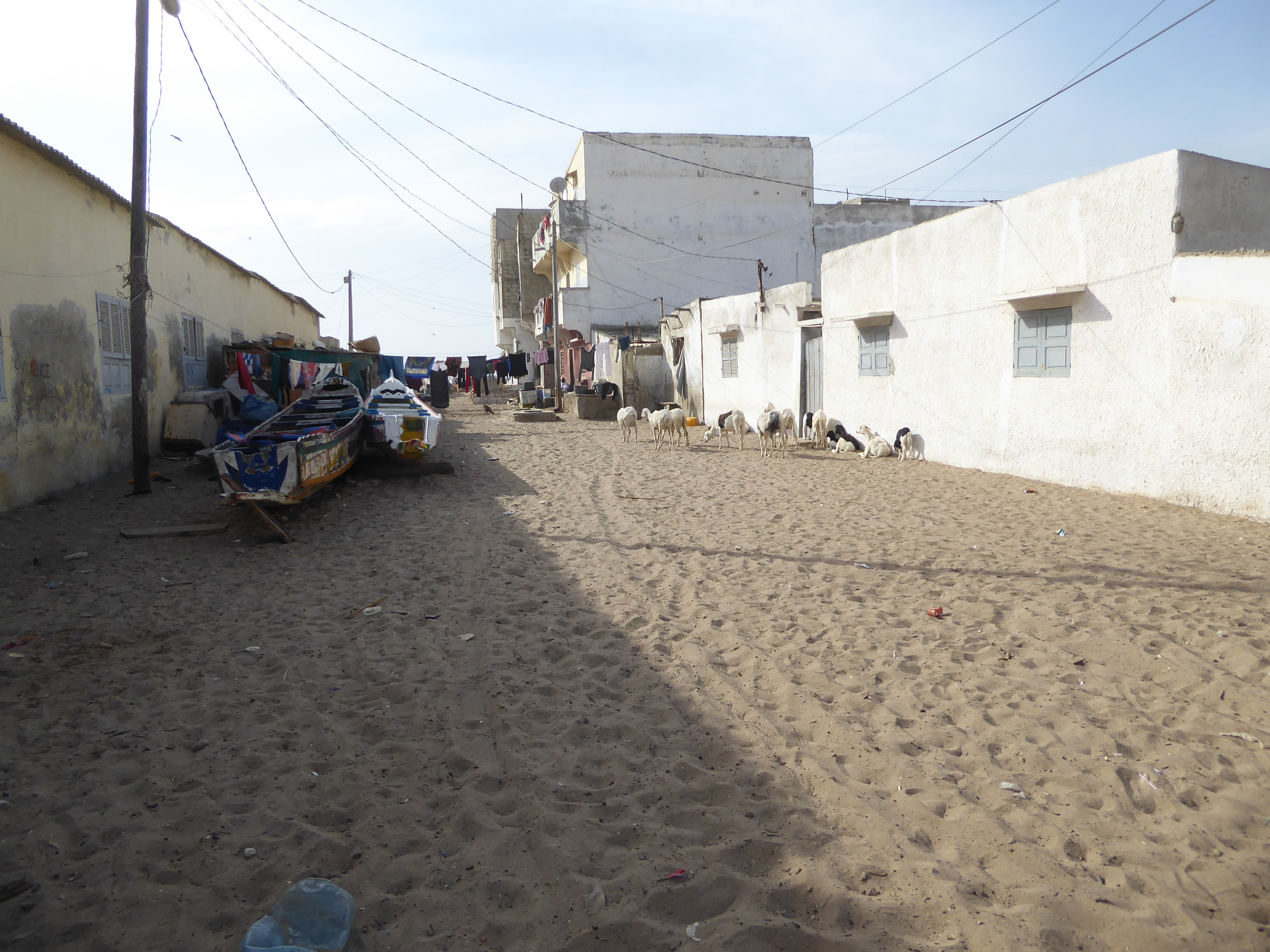 Trudge, trudge. The pirogues have been rolled the 50 meters or so from the water.