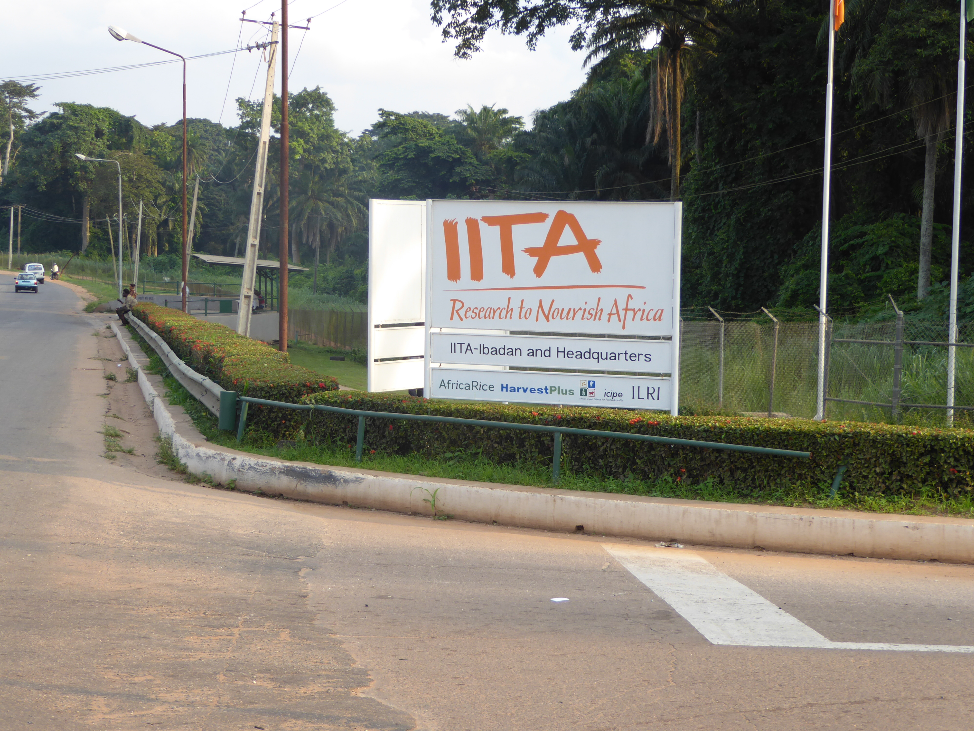 It's the International Institute of Tropical Agriculture.