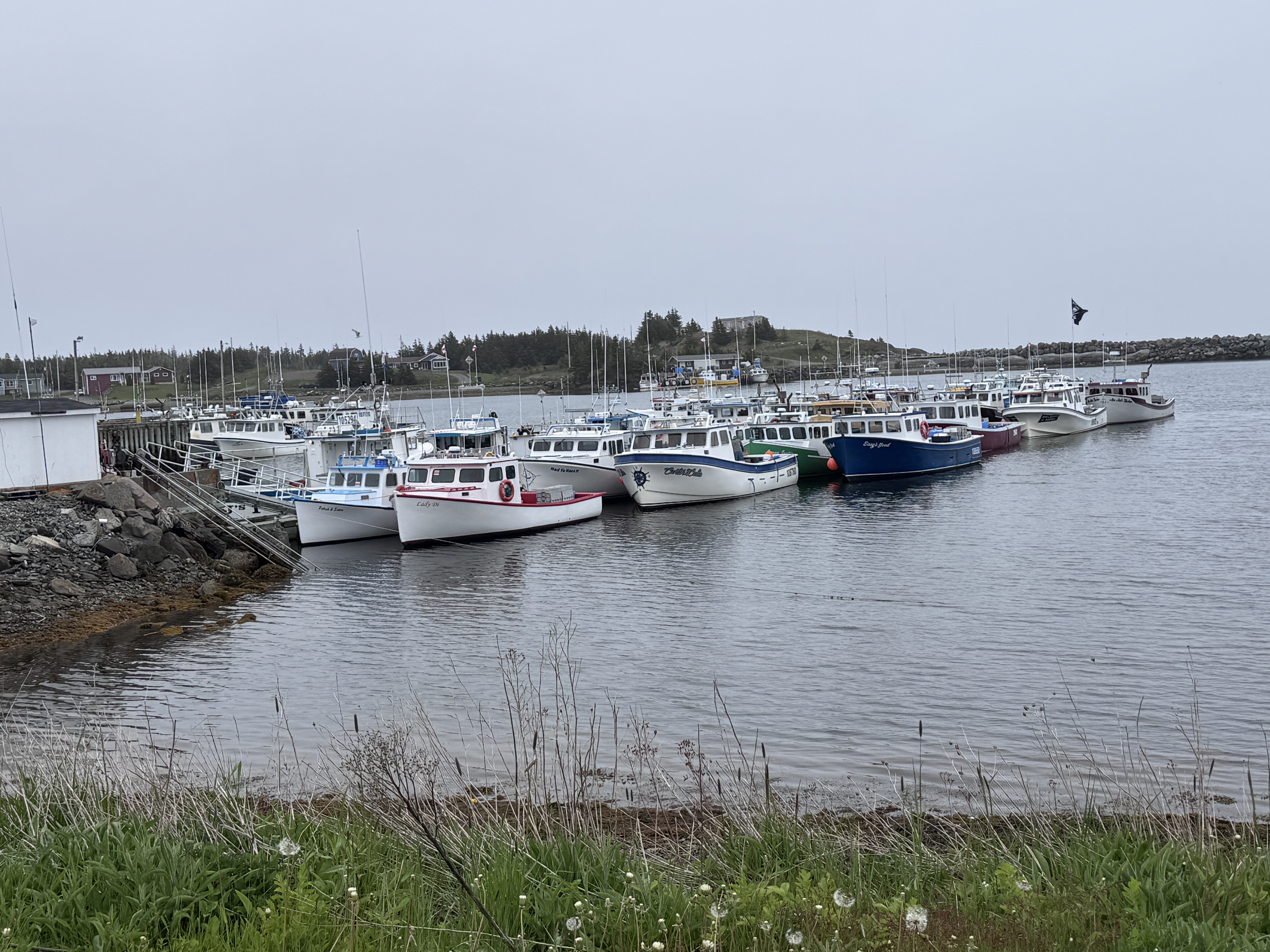 There are some small but active commercial ports, too, no longer catching cod but lobster and crab.  This is Port Merien.