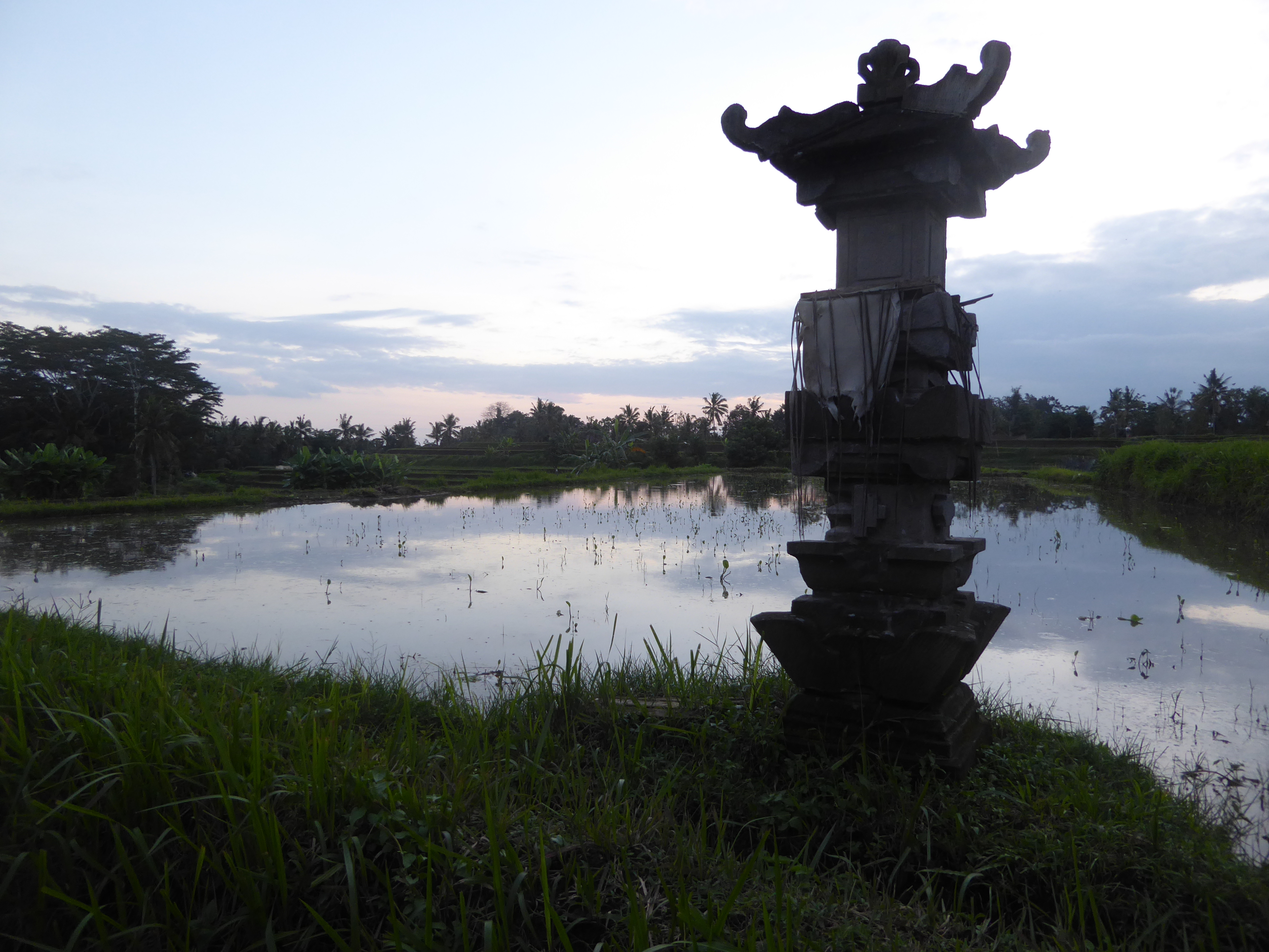 You can see how Krause would be a sitting duck for Bali. Here, at sunset, is a shrine to Dewi Sri, the rice goddess. Made Wijaya the adopted