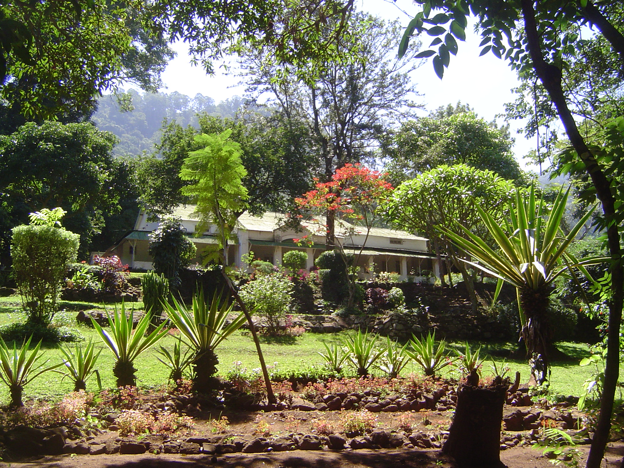 Bungalows ranged up the hill behind the Club. A visitor wrote, "The officials certainly live under ideal conditions. The climate is perfect.