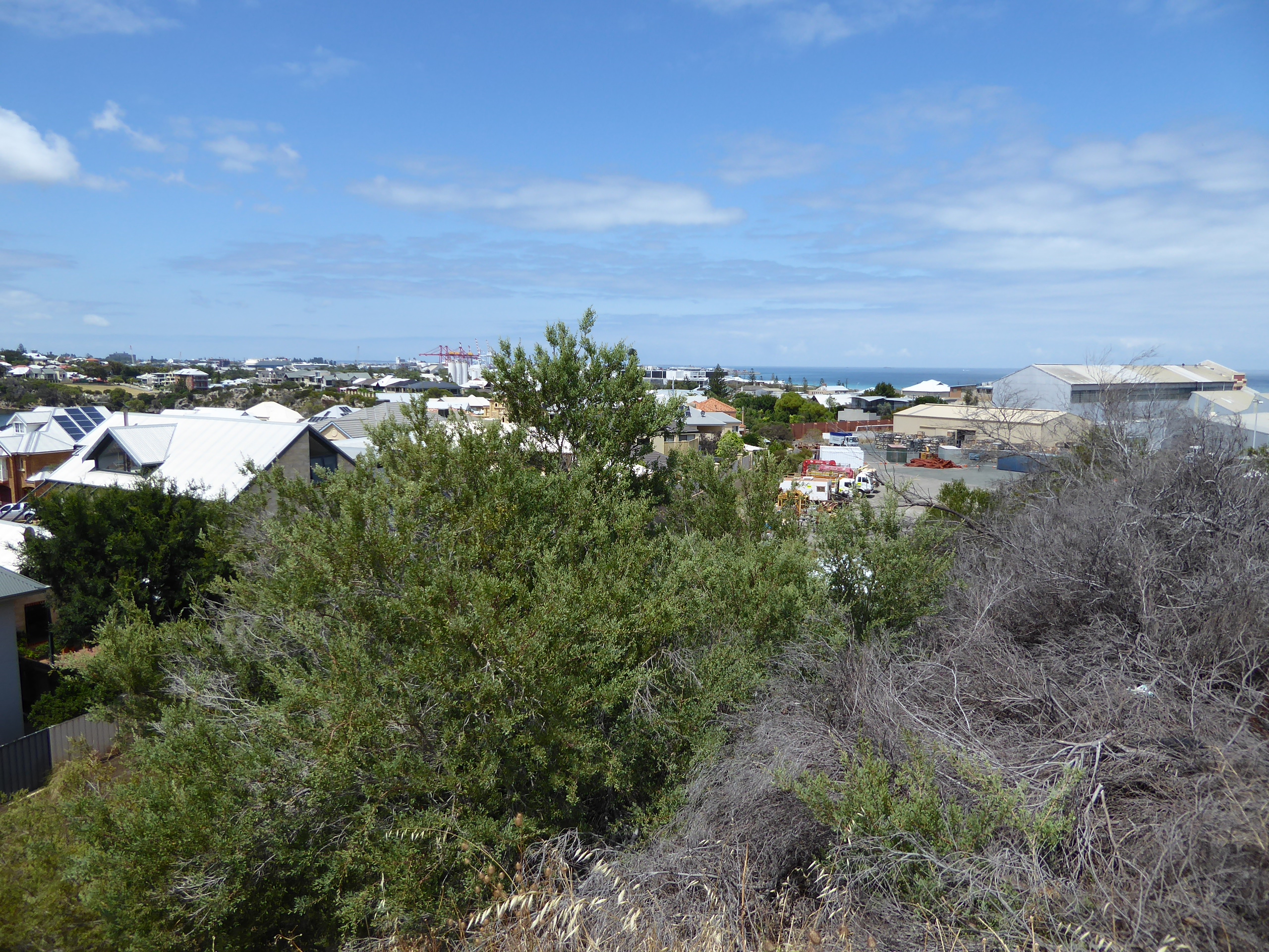 You can catch a glimpse of a gantry crane at Fremantle's container port.