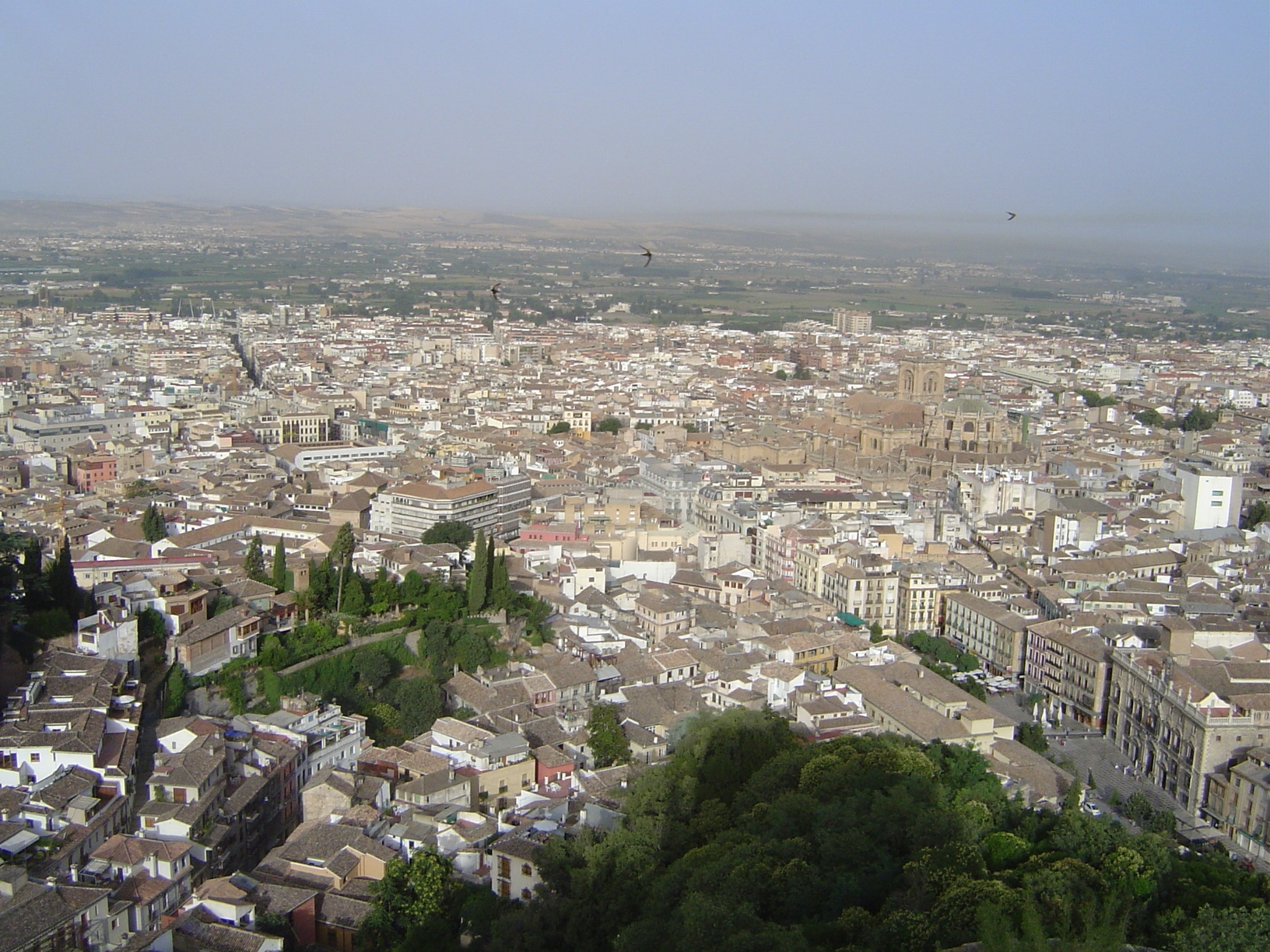 Now we're looking down from the tip of the ridge to the modern city; in the center-right is the tawny cathedral, where Ferdinand and Isabell