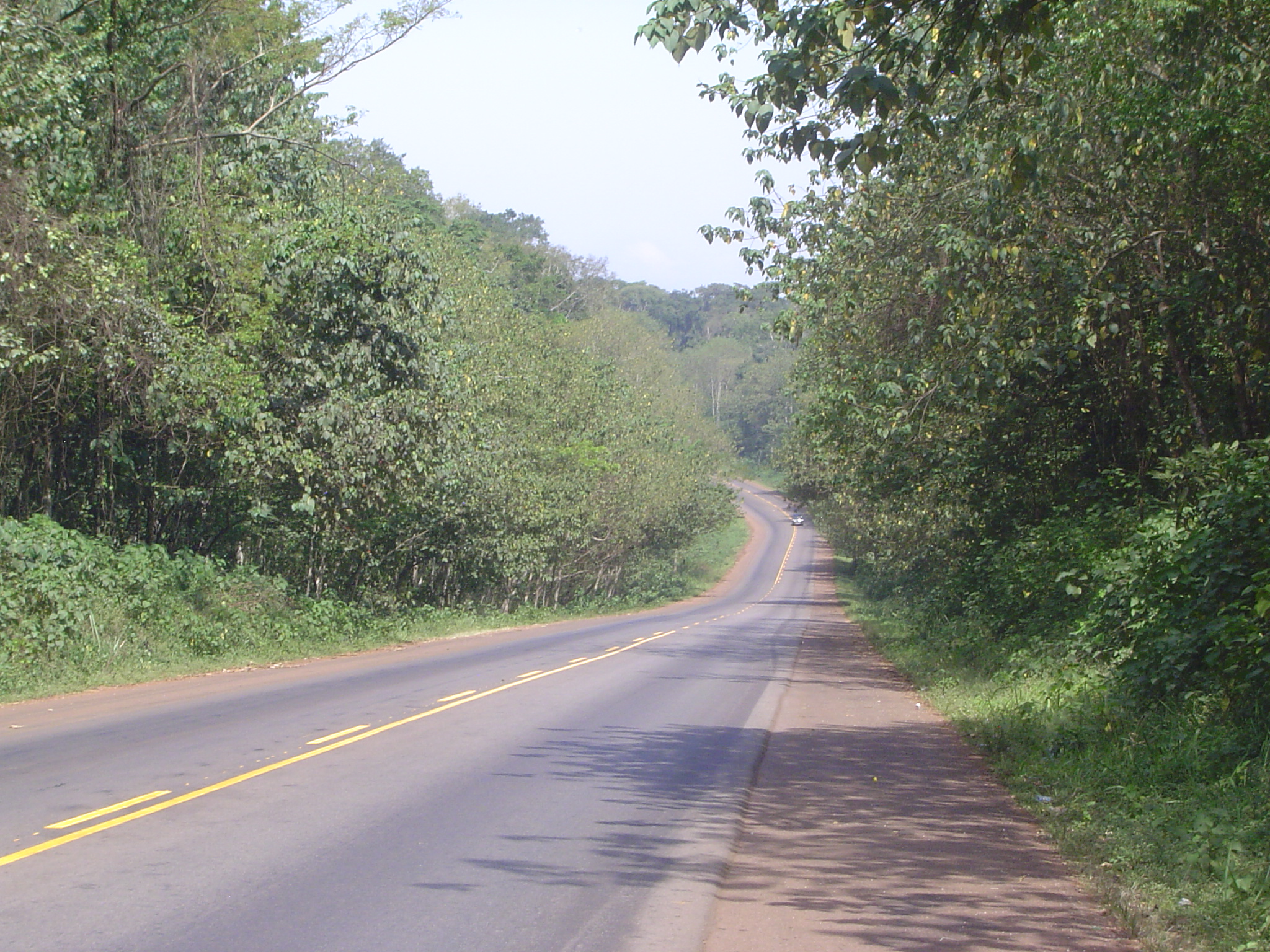 Yes, there is. It's the Mabira Forest, and it's the largest surviving forest between Mt. Elgon, on the Kenya border, and the Rift Valley in