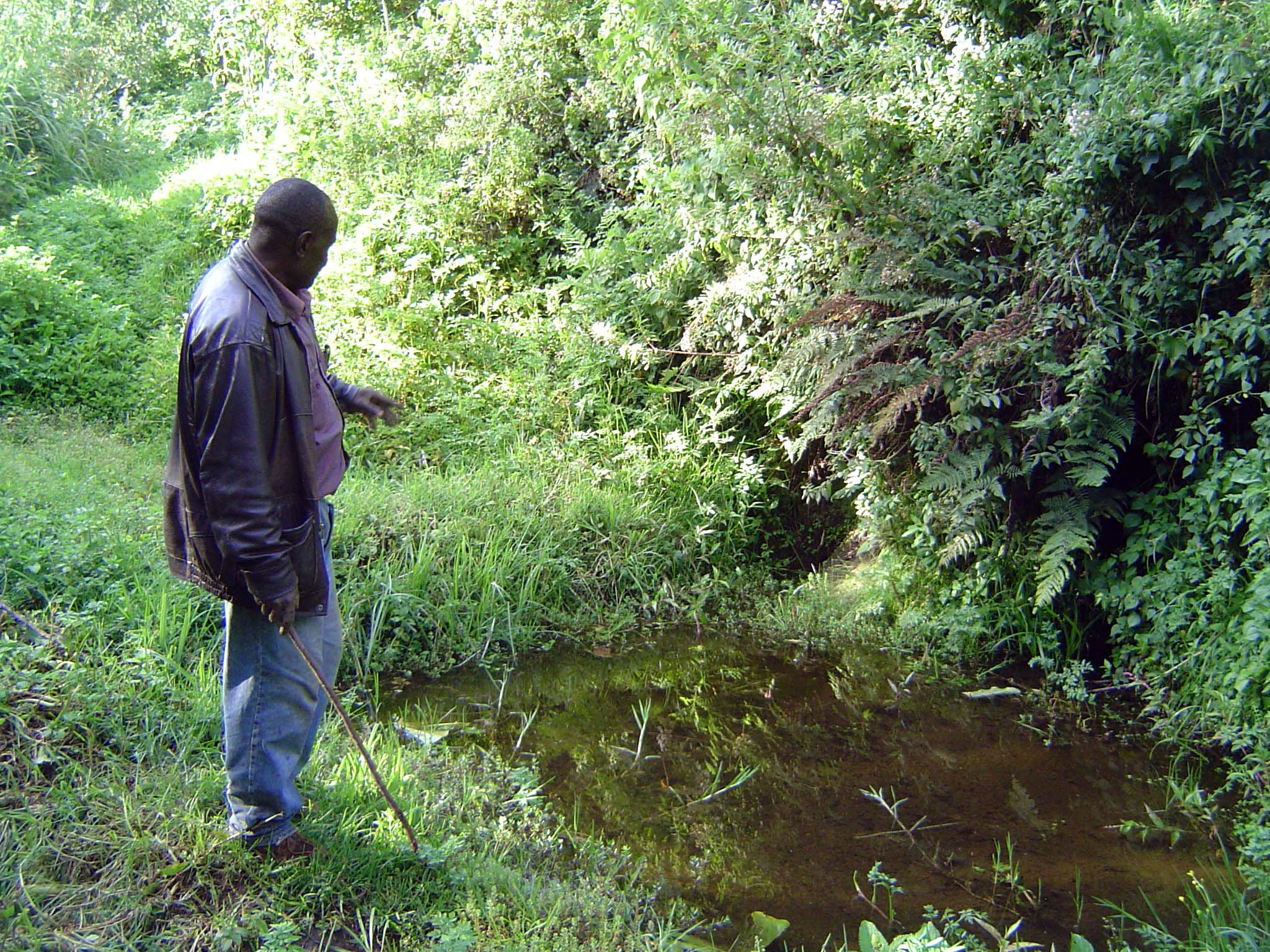 A pool in the creek.