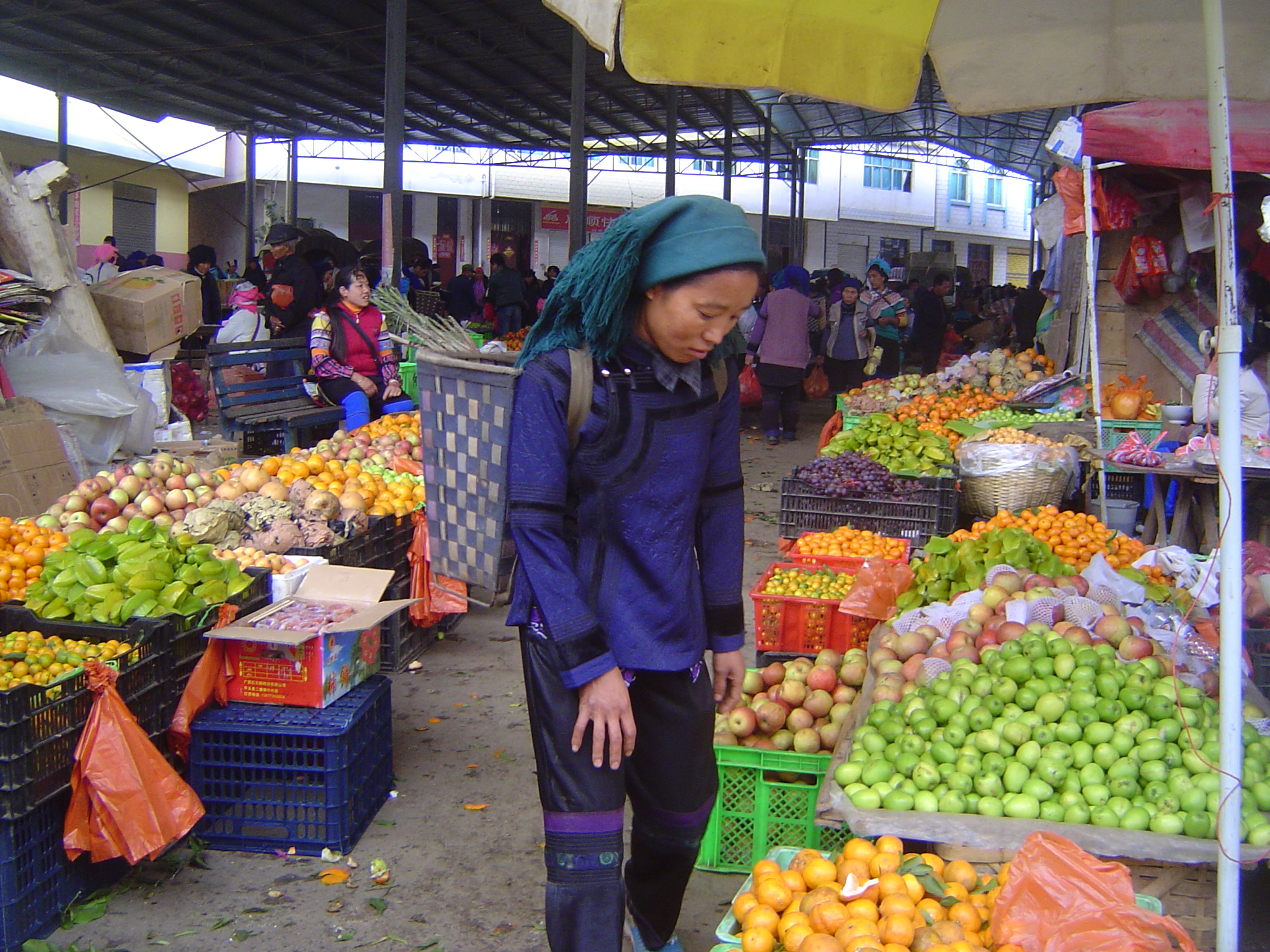 Lots of citrus, not to mention star fruit.