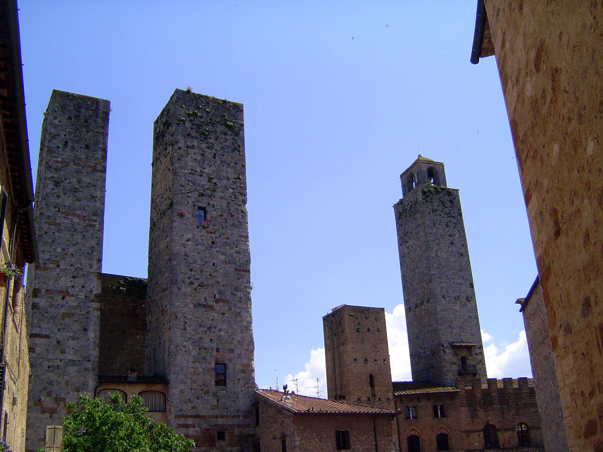 A thicket of towers dominated by the Salvucci twins and the Rognosa.