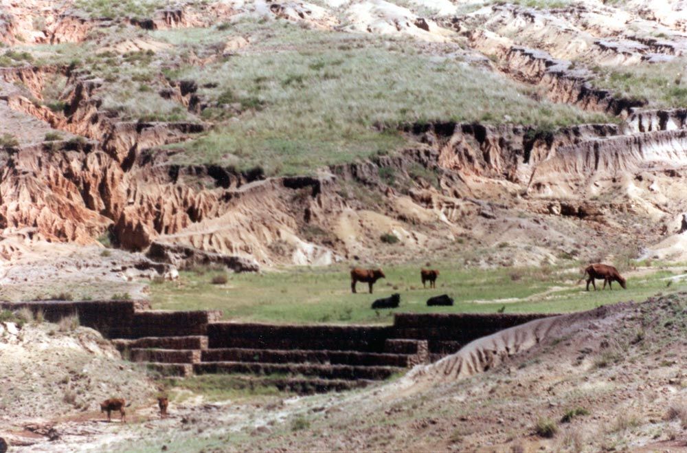 Africans were thrown back into reserves where the land was despoiled, notwithstanding soil-erosion measures that came too little, too late.