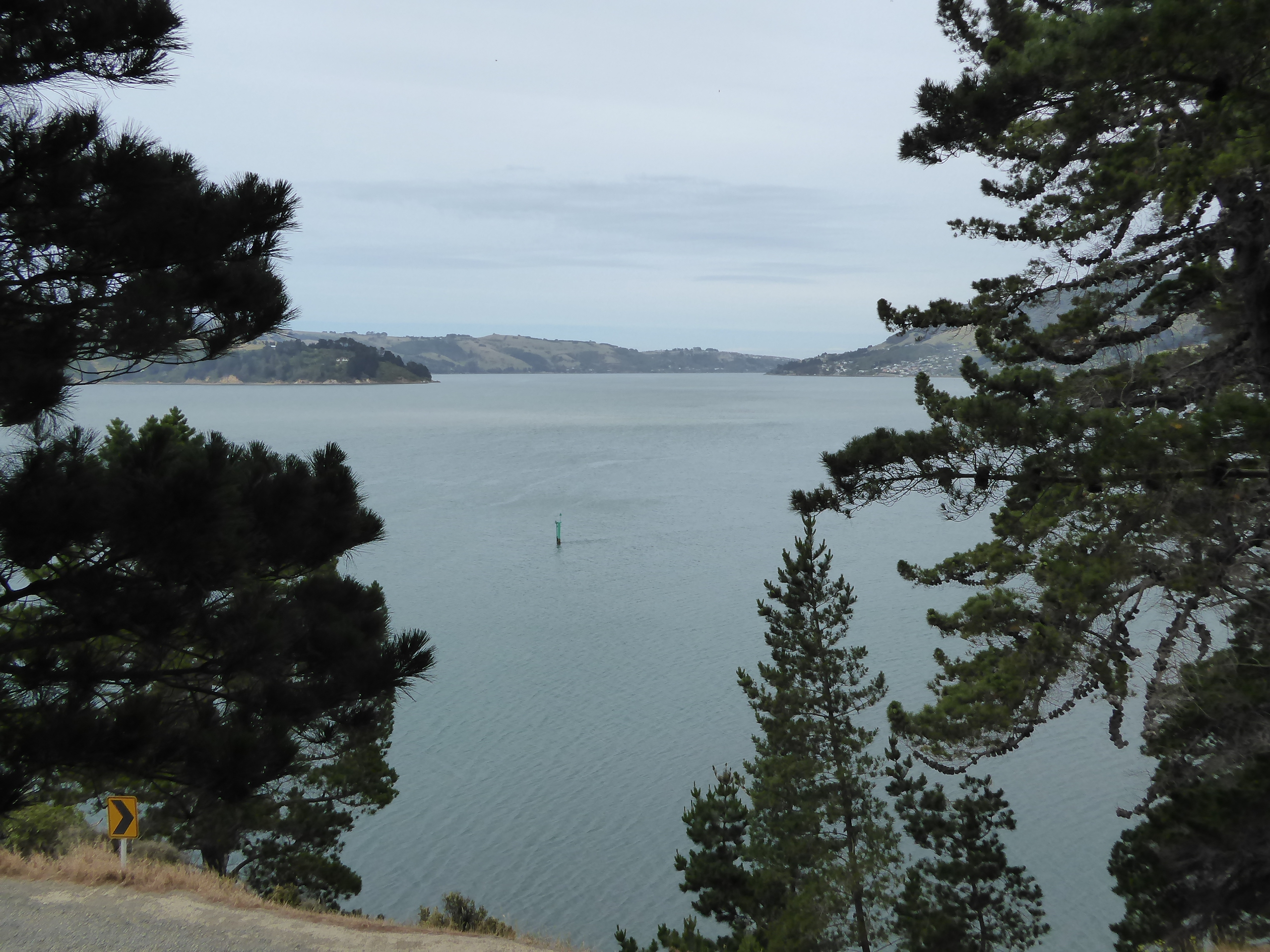 The view of the outer harbor from above Port Chalmers.