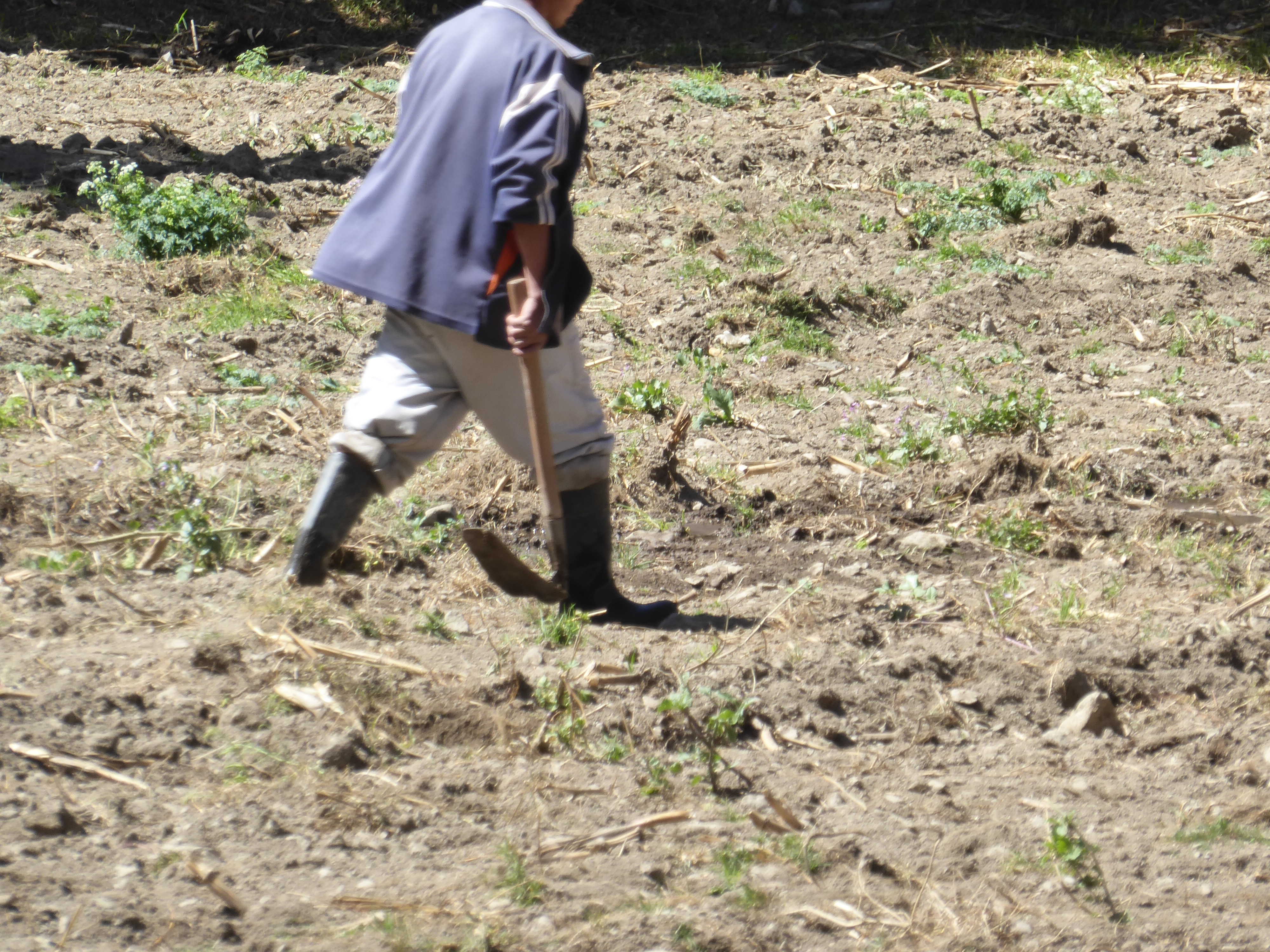 Man with a hoe.