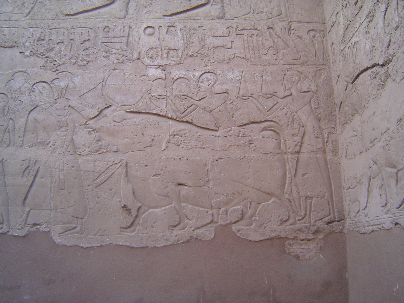 Sons of Rameses II lead the animals.