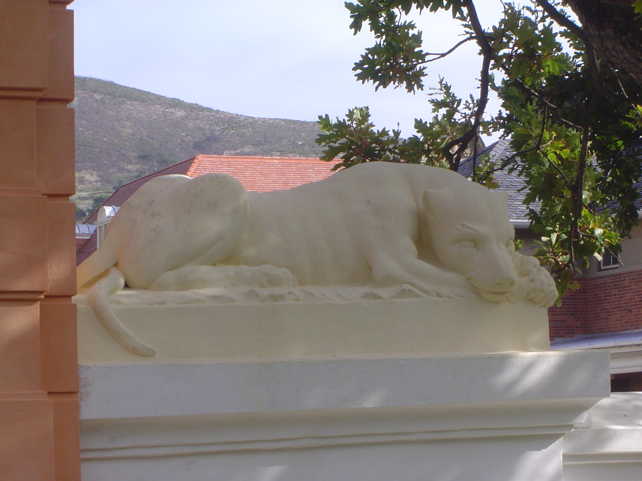 One sleek lioness.