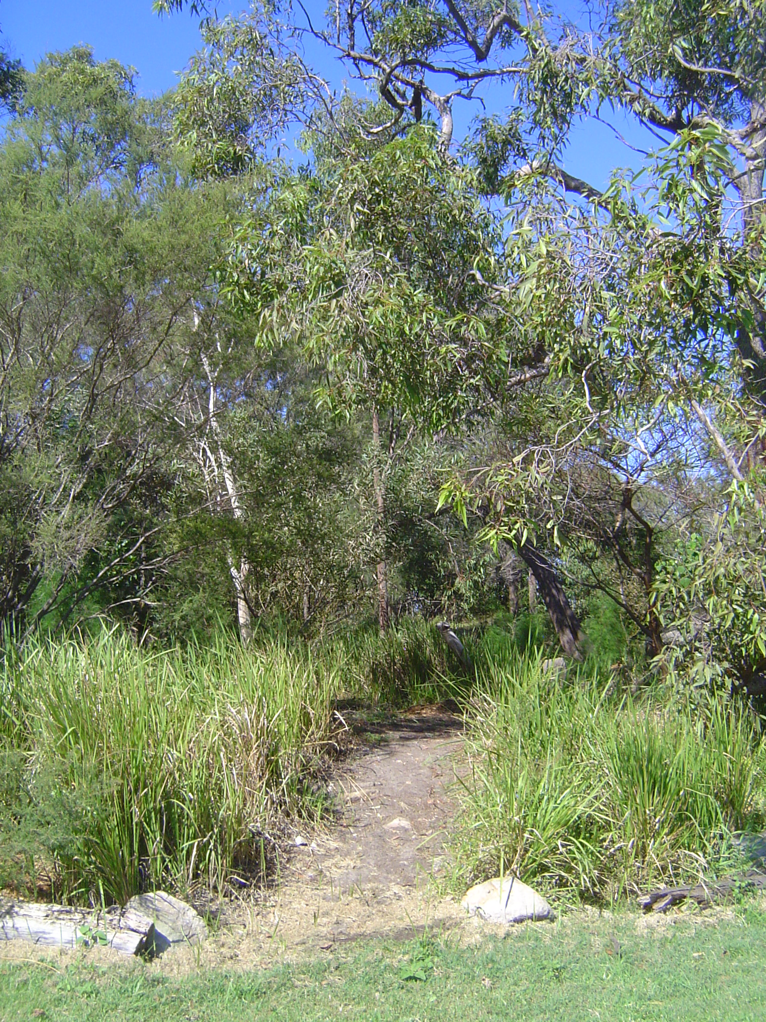 There are a very few interior reserves: here's one, the Linden Way Reserve.