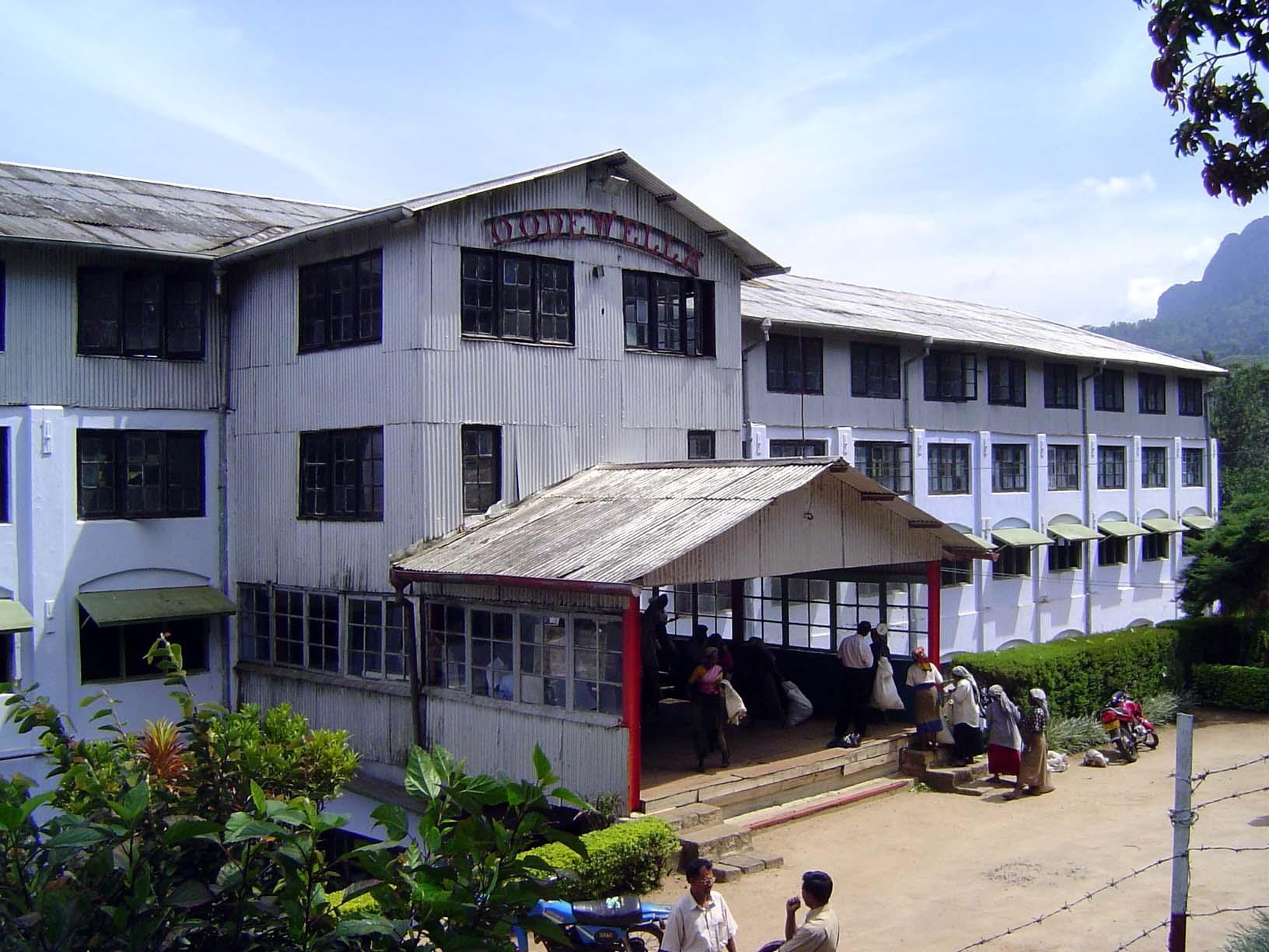 This factory is ot quite so spiffy, but it is still in operation. The women are lined up to have their pickings weighed.