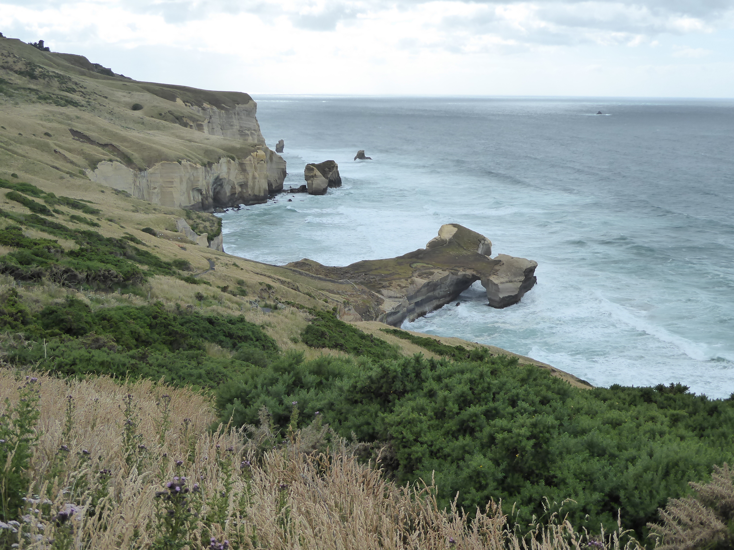 We're just a few miles from town, in fact within what is now suburban Dunedin. Go around the point, and you'll see a town and a beach.