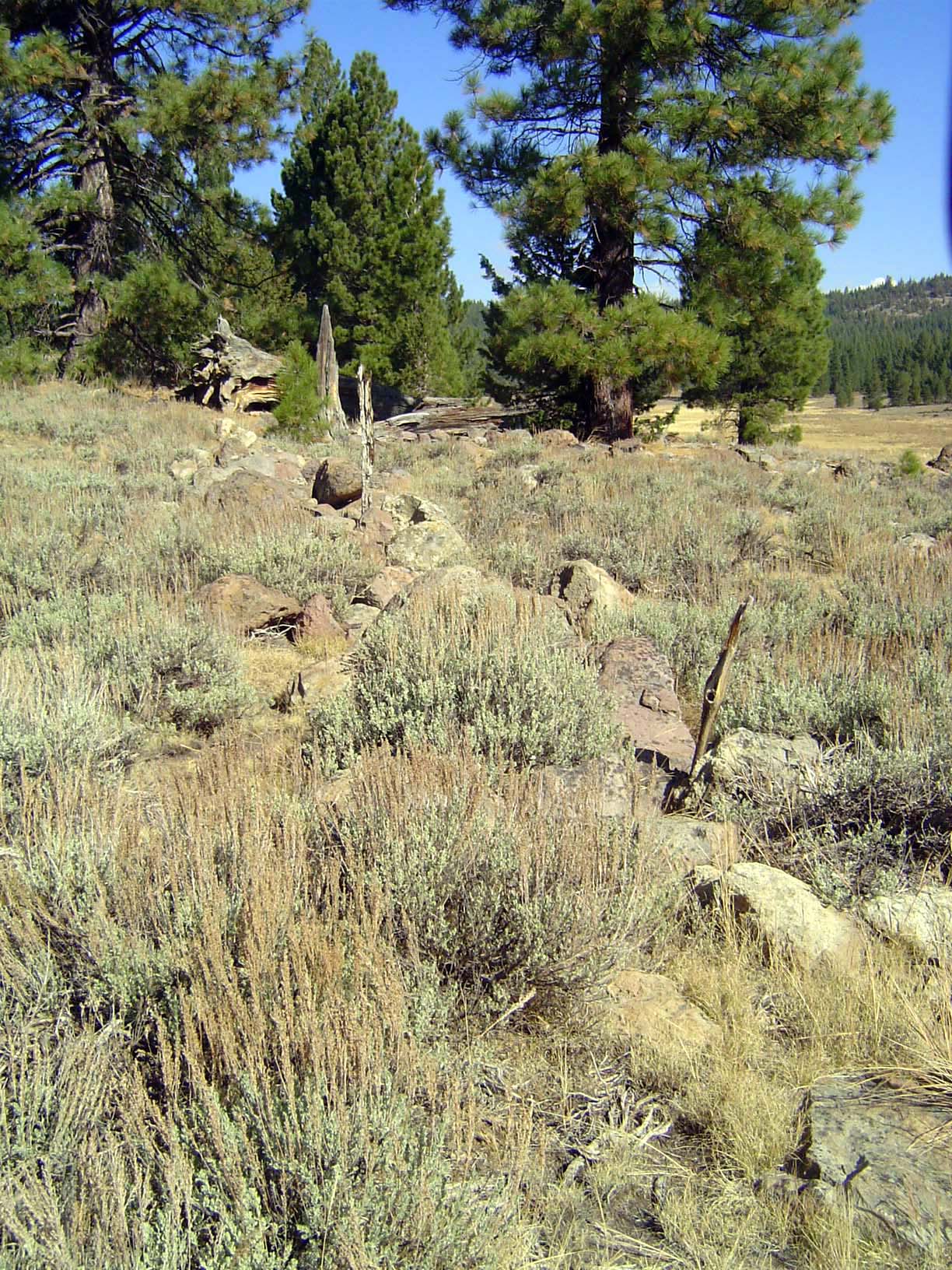 Ruins of More's Station on the route of the California Stage Company.